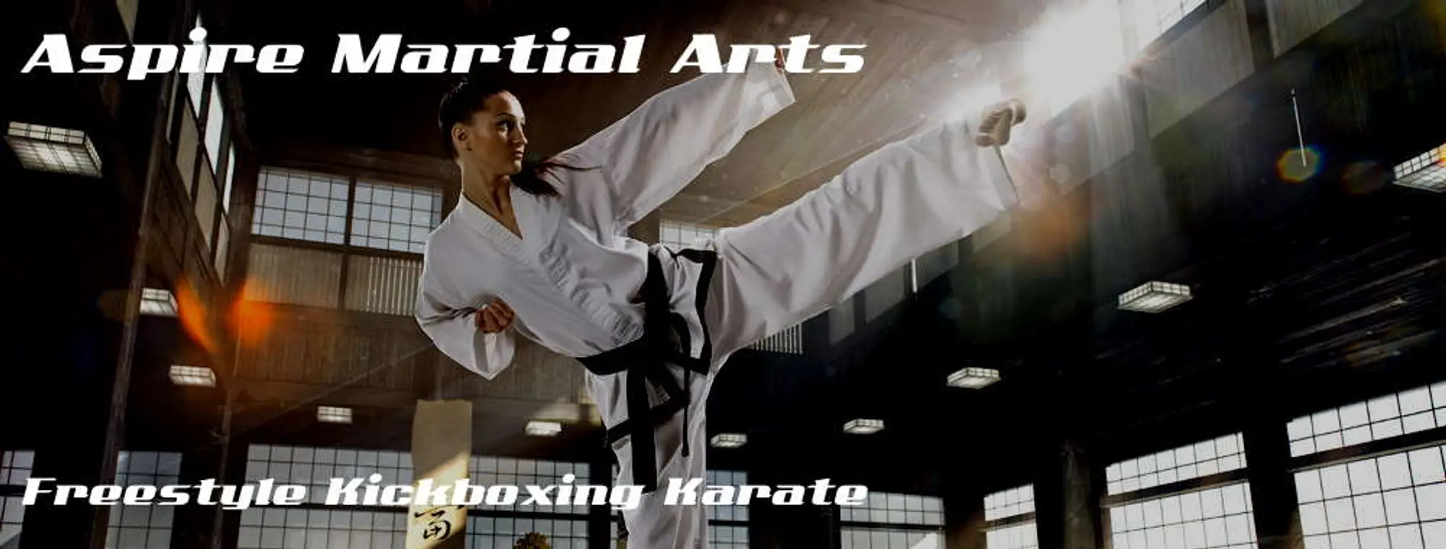 Aspire Martial Arts