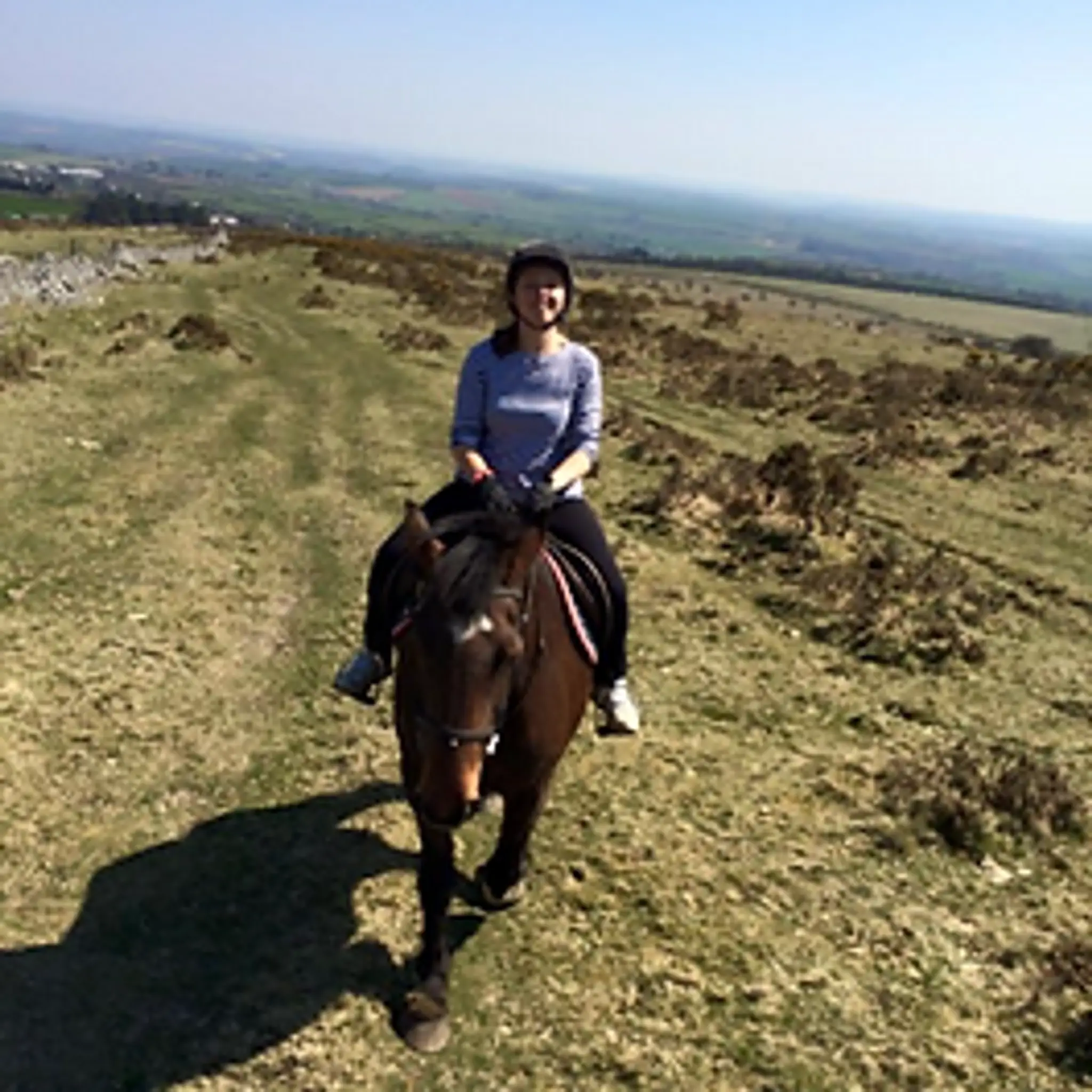 Caradon Hill trekking and equestrian centre ltd
