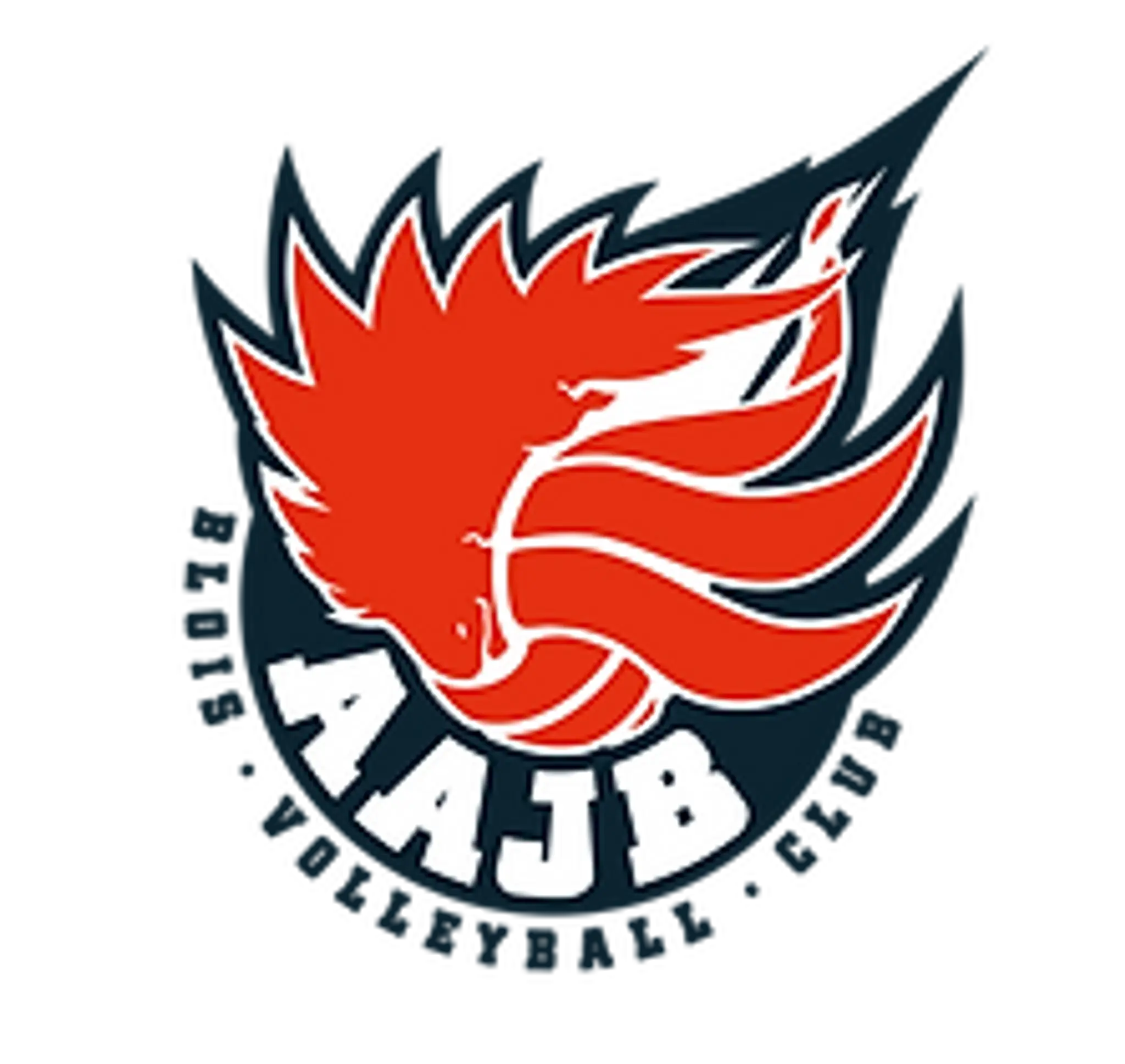 A.A.J.B. Volley Blois