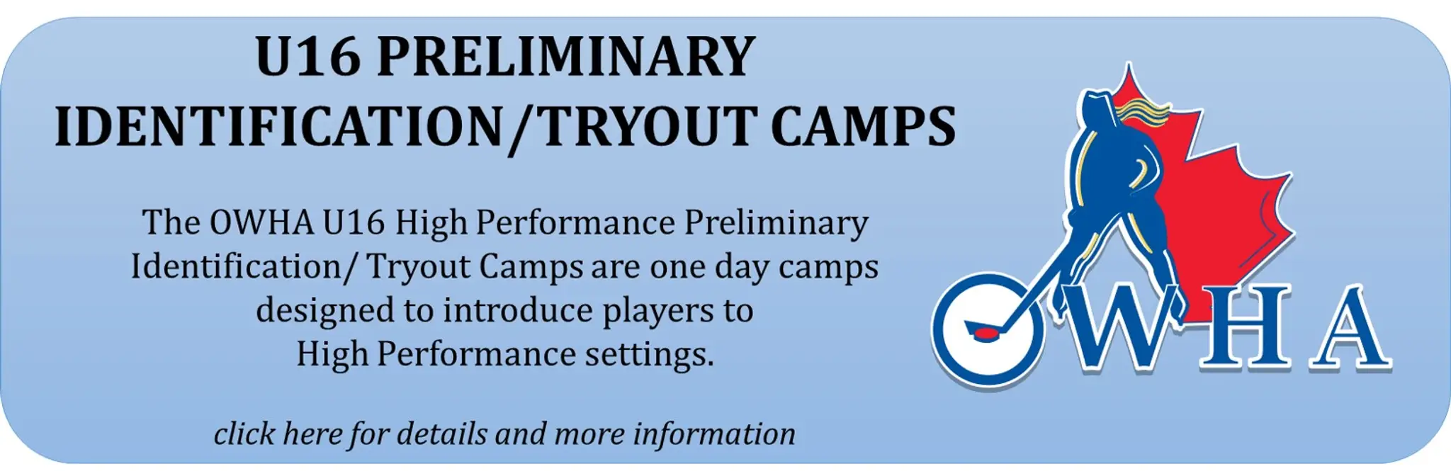 Ontario Women's Hockey Association