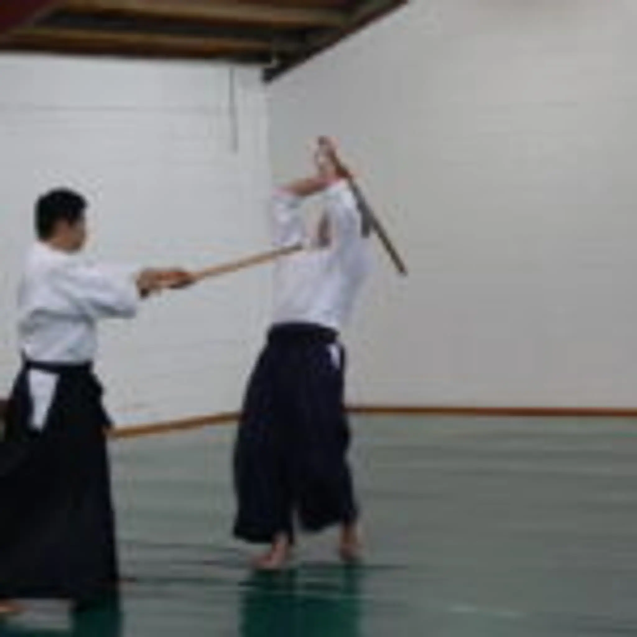 Aikido Buikukai