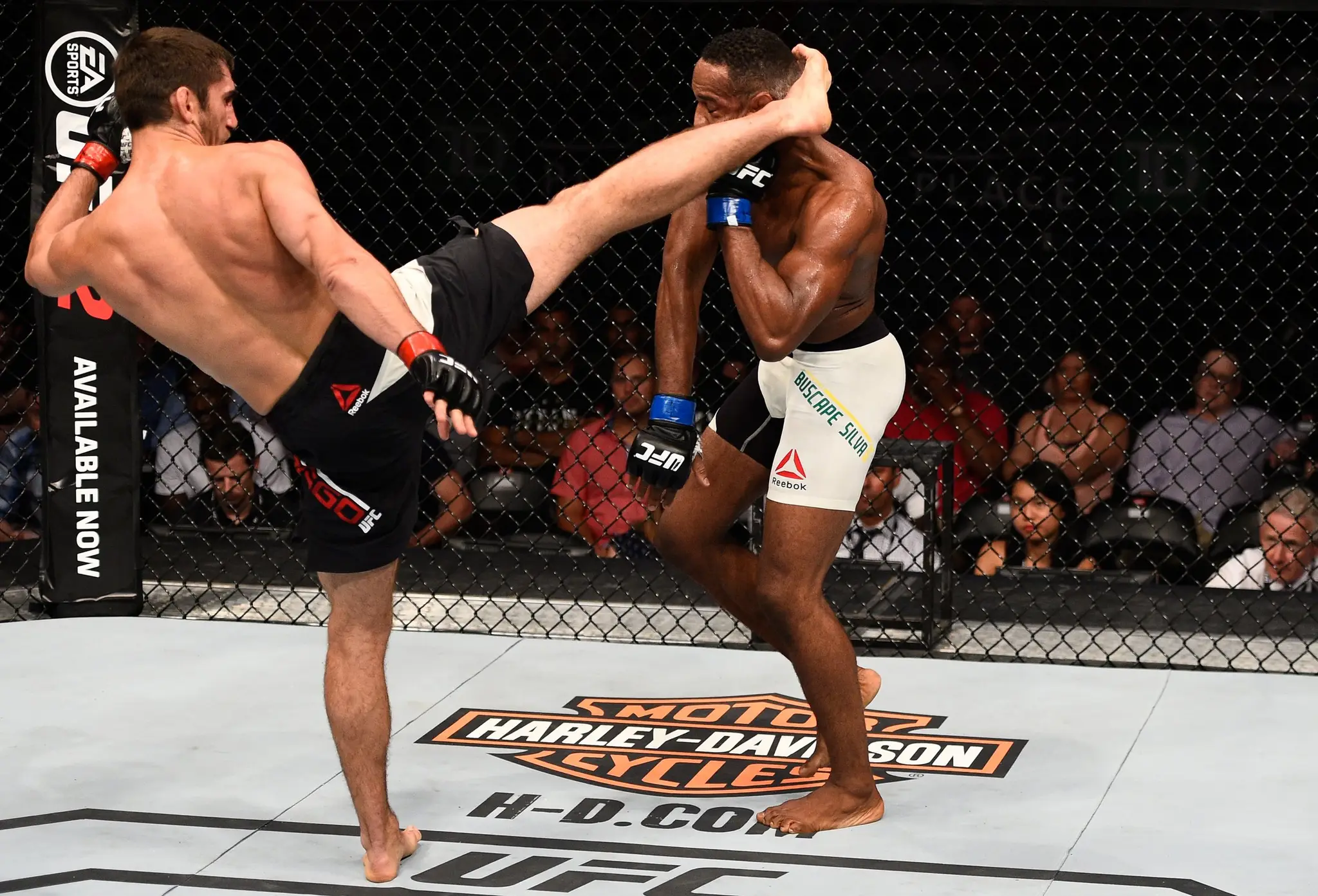 PEI Martial Arts Academy - Stratford