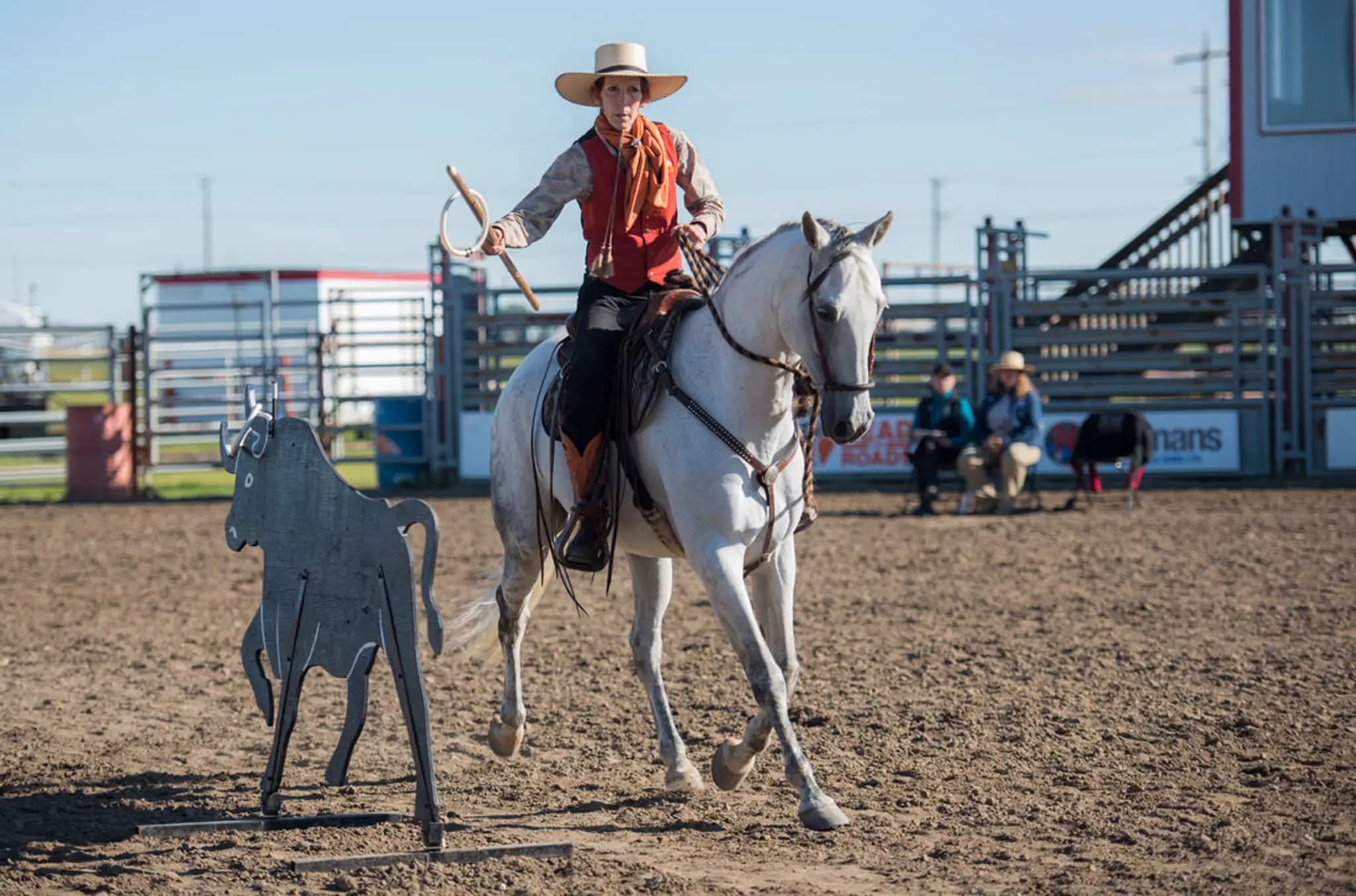 Sandy Lang Horsemanship