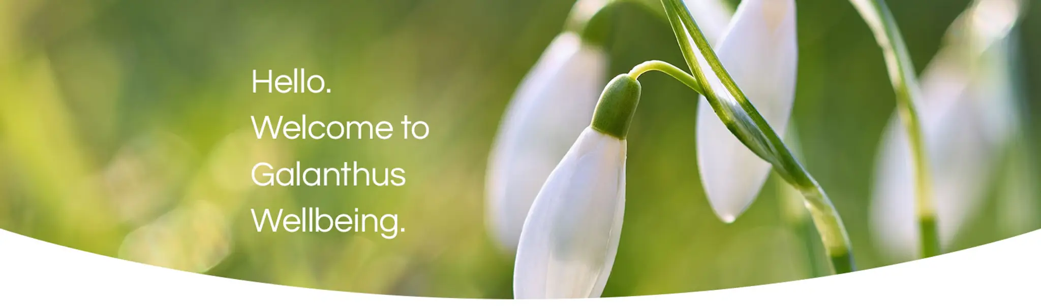 Galanthus Wellbeing