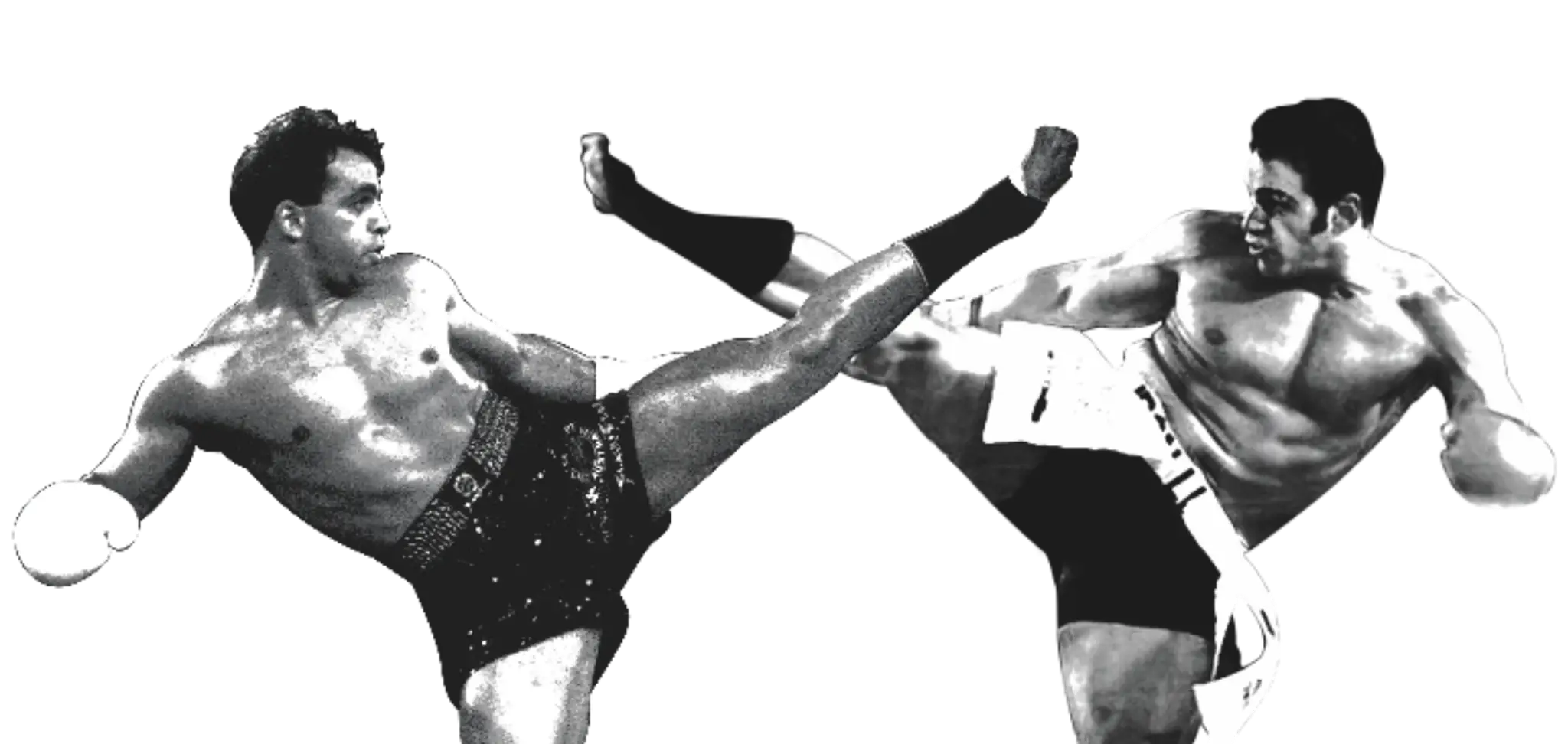 Stan The Man Fitness Academy