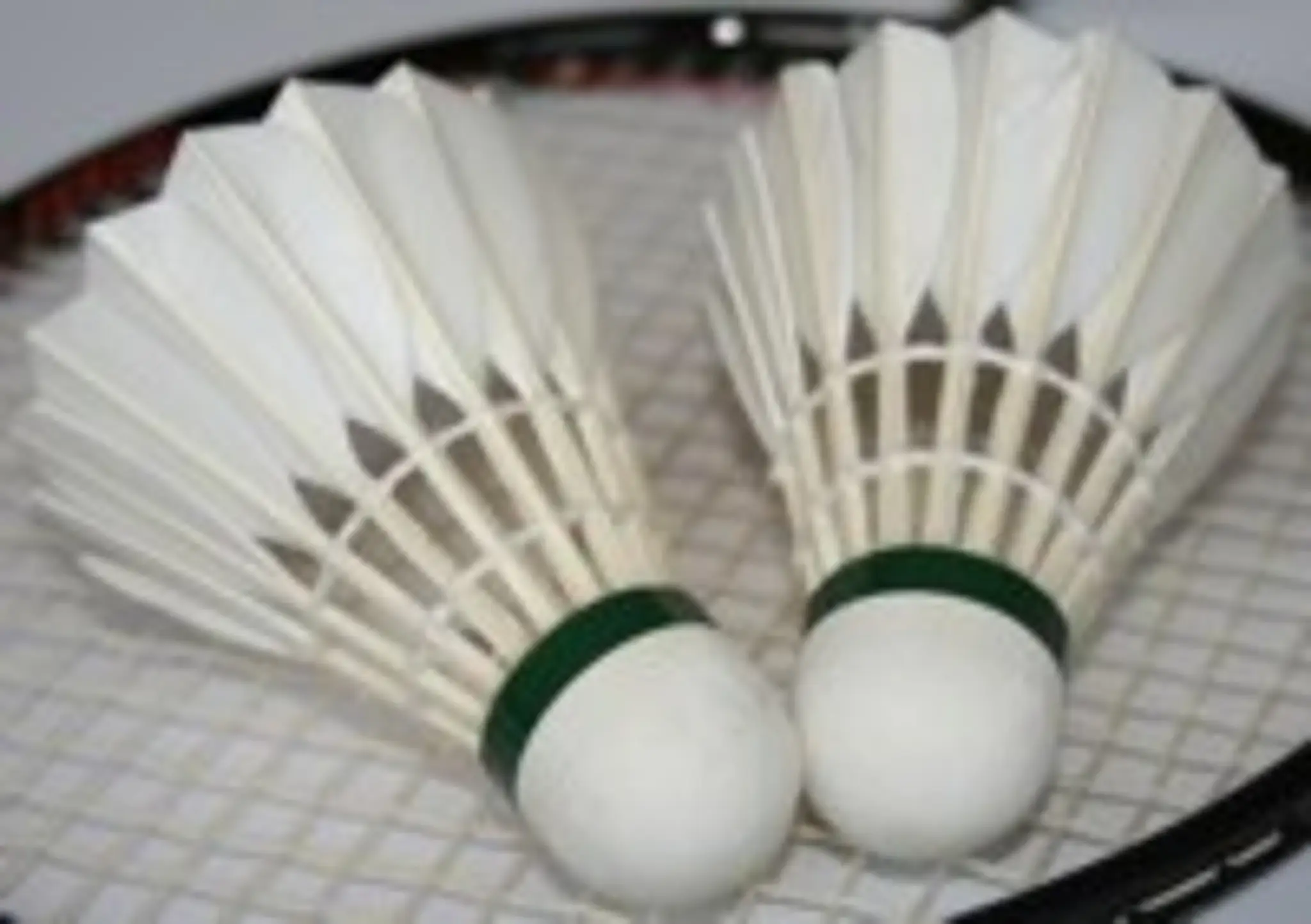 Tiverton Badminton Club