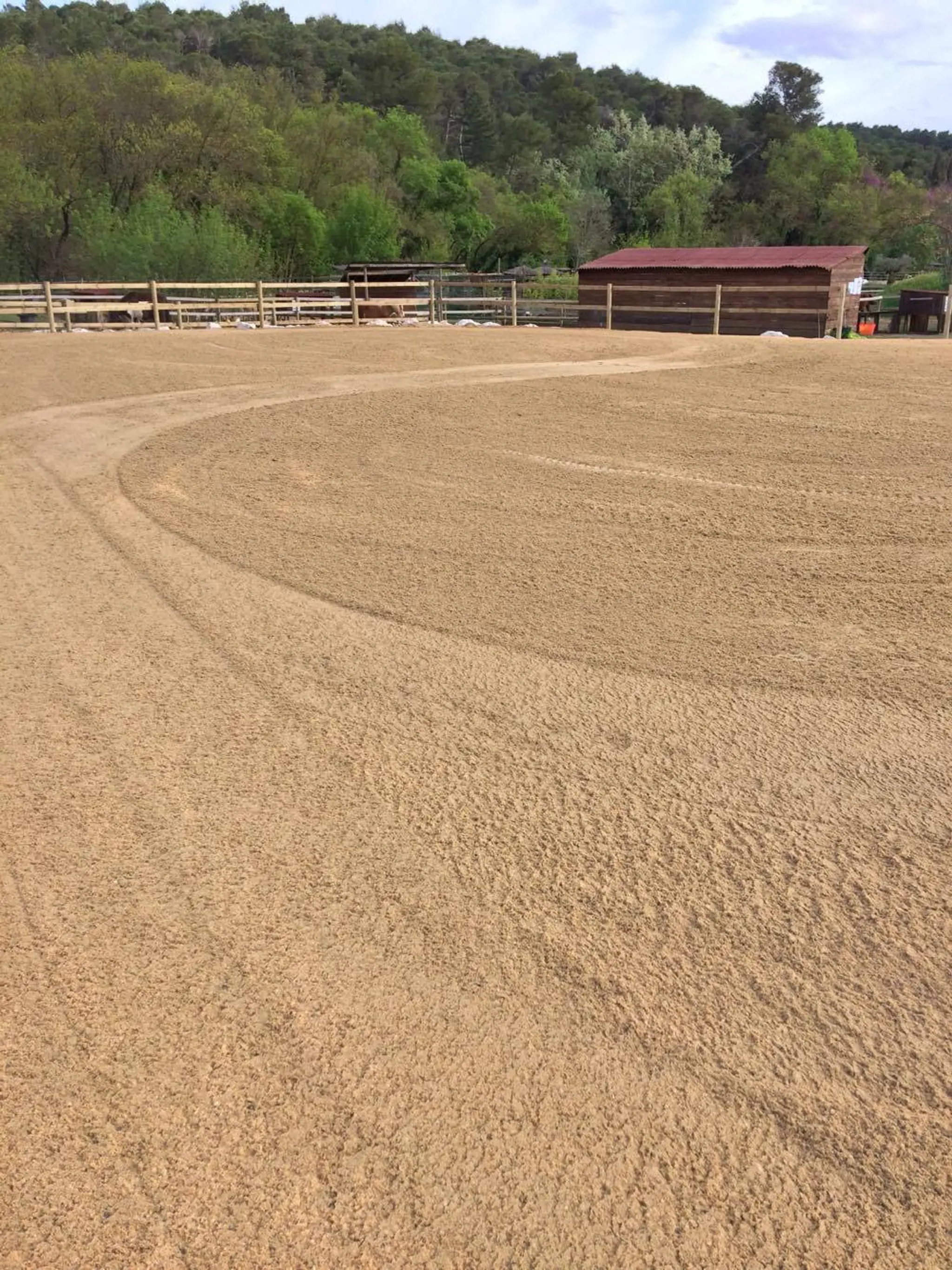 Poney Club A La Ptite Ferme