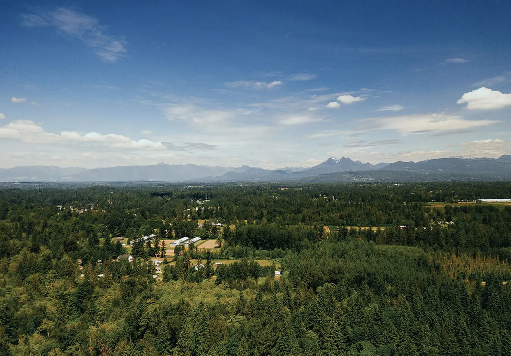 Liberty Farm - Dog & Horse Ranch