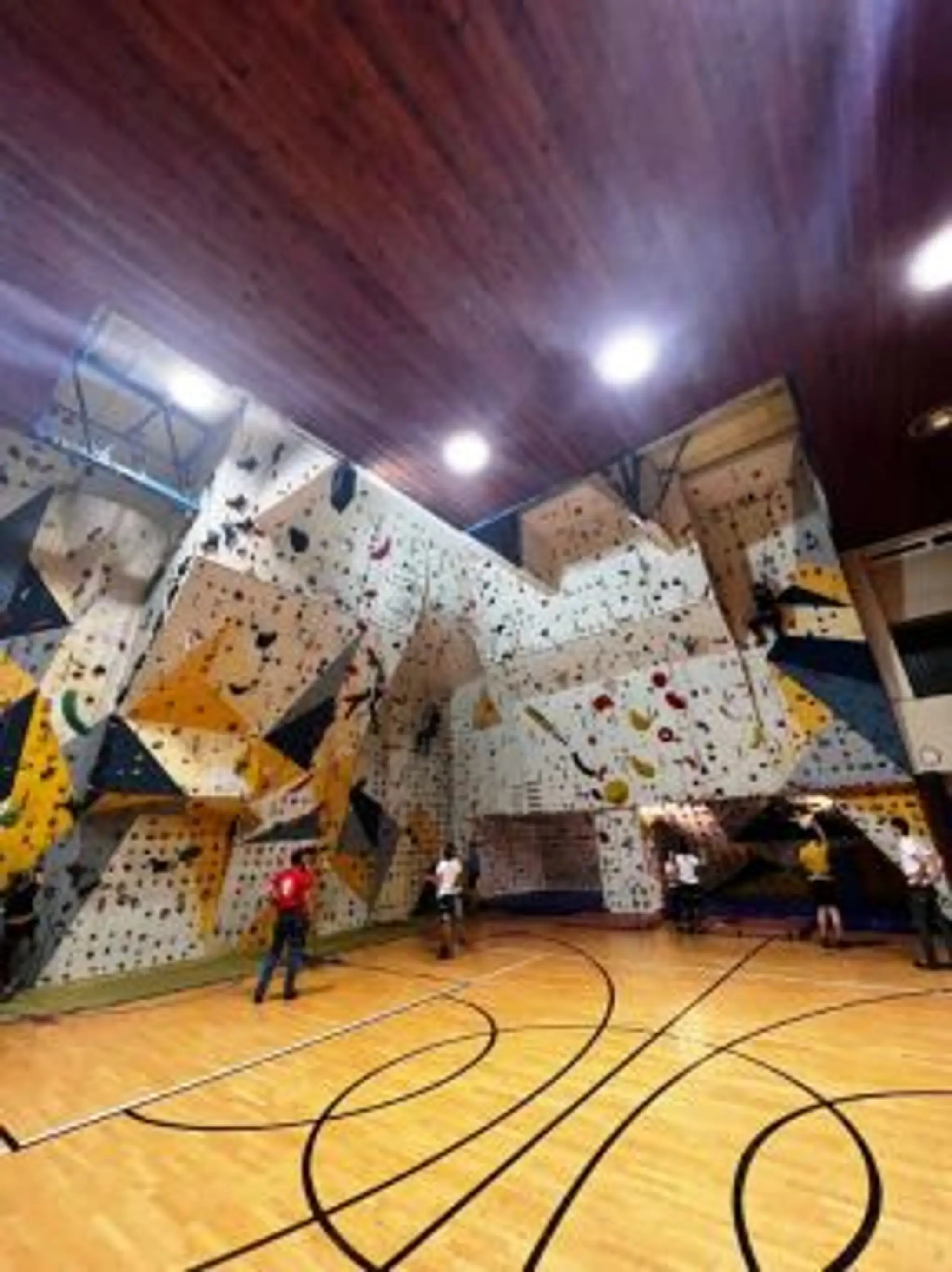 Climbing Wall Spider