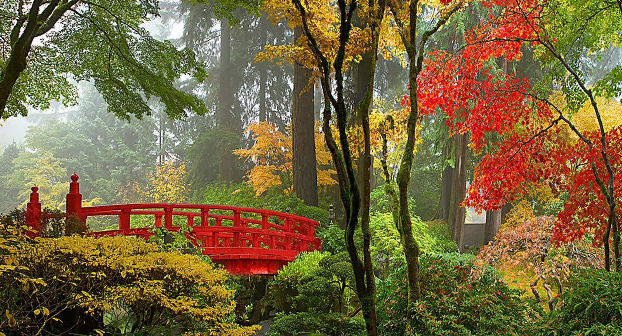 Barton's Martial Arts