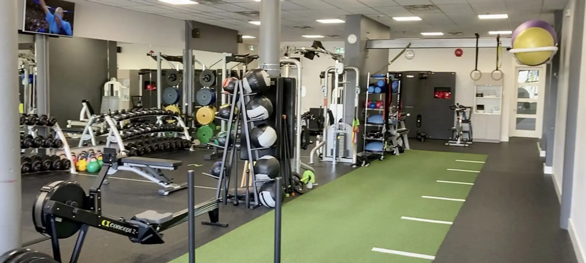 Tai Erasmus Inc, Fitness / Nutrition / Consulting / Formulation