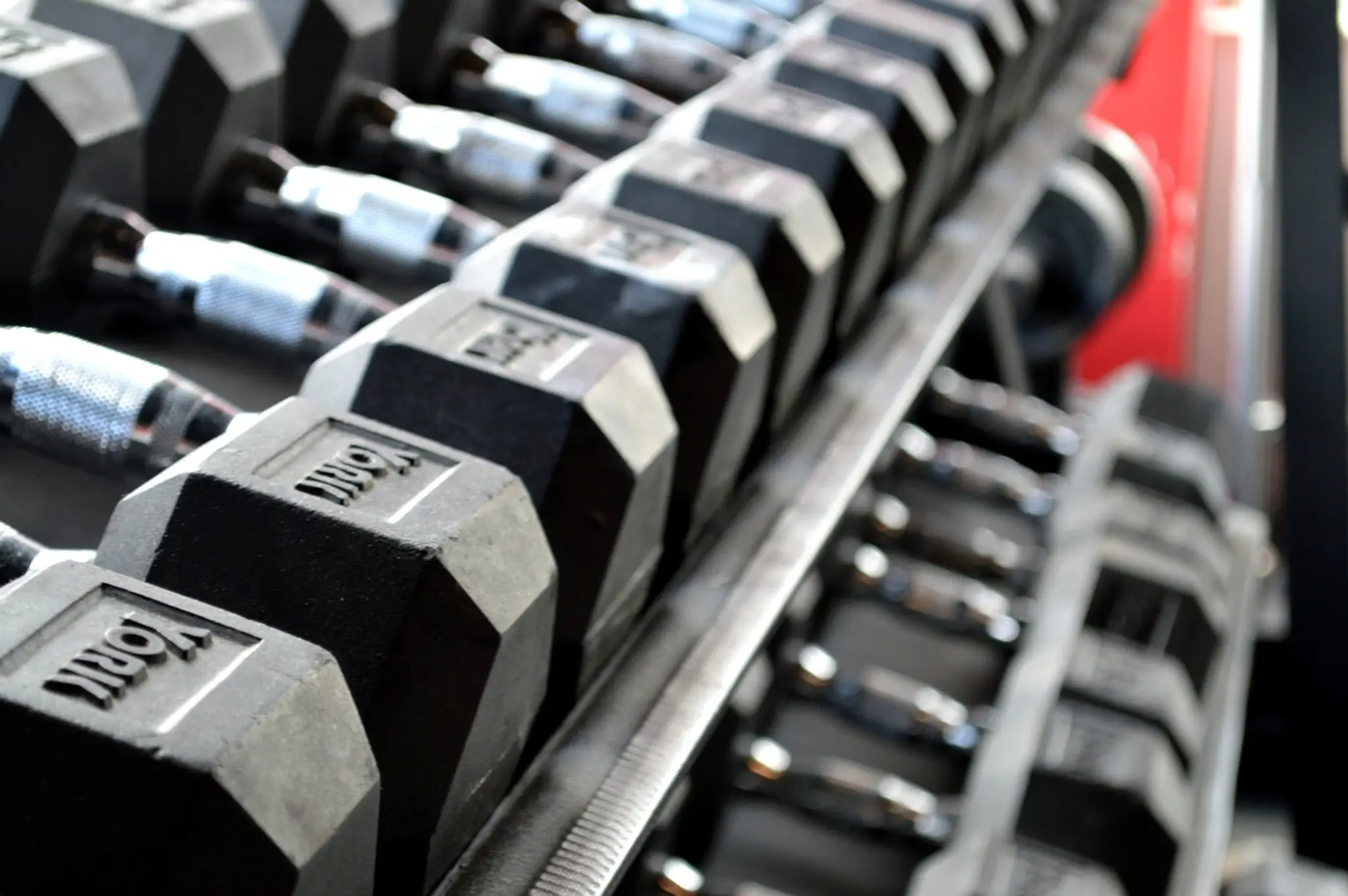 ROC Fitness