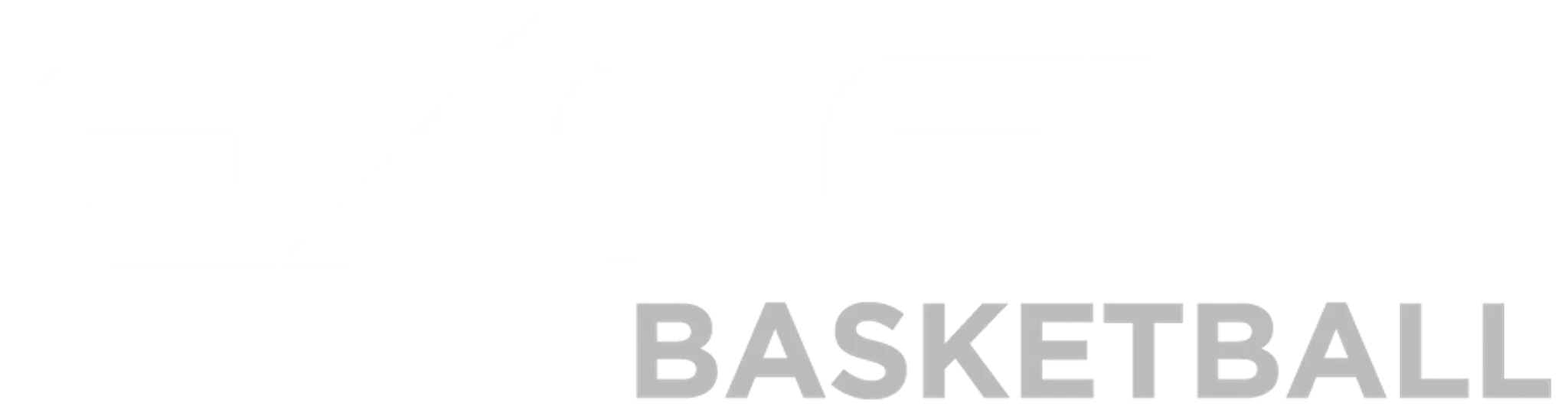 Excel Basketball
