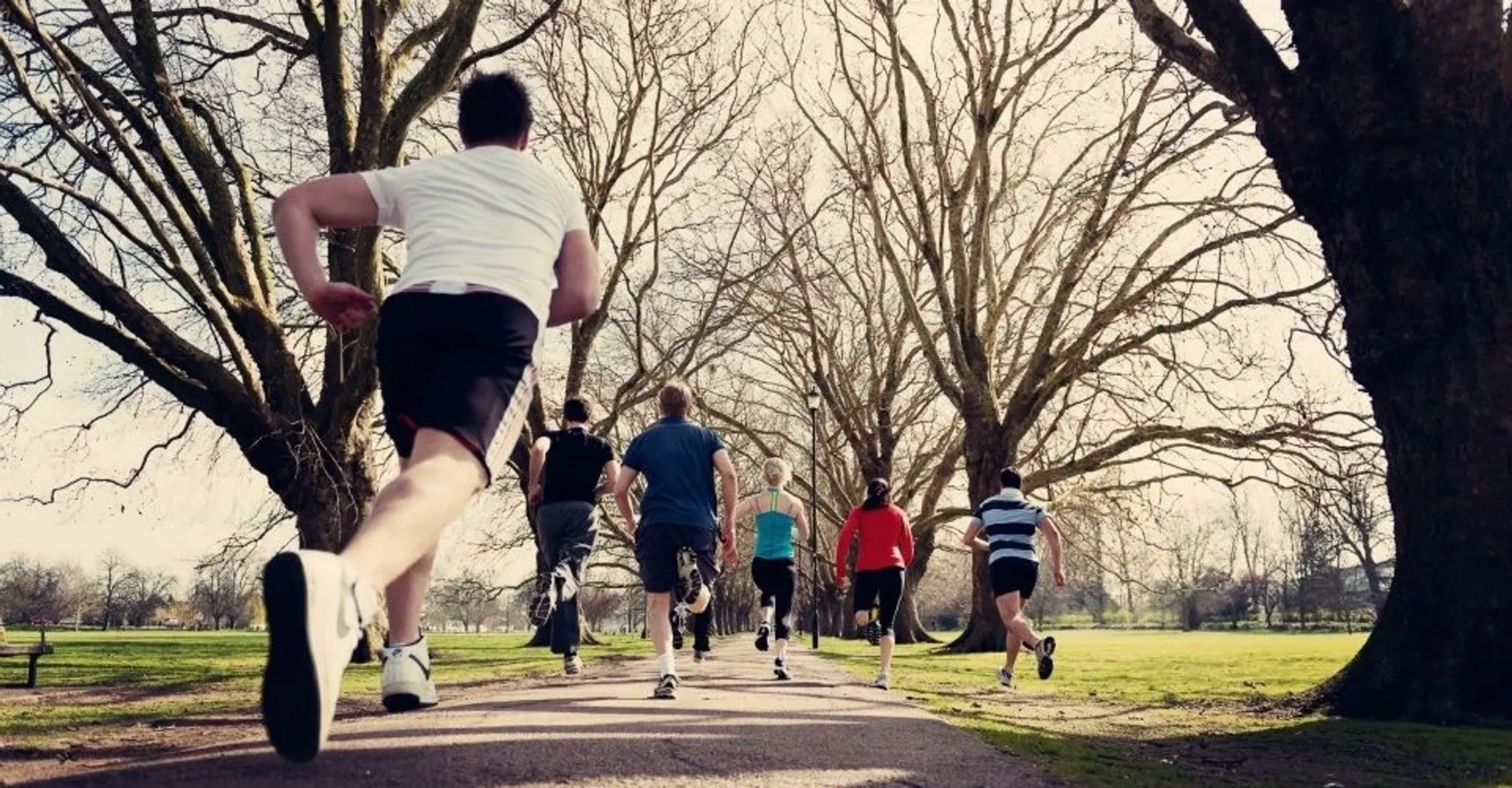 Zone Outdoor Fitness & Personal Training