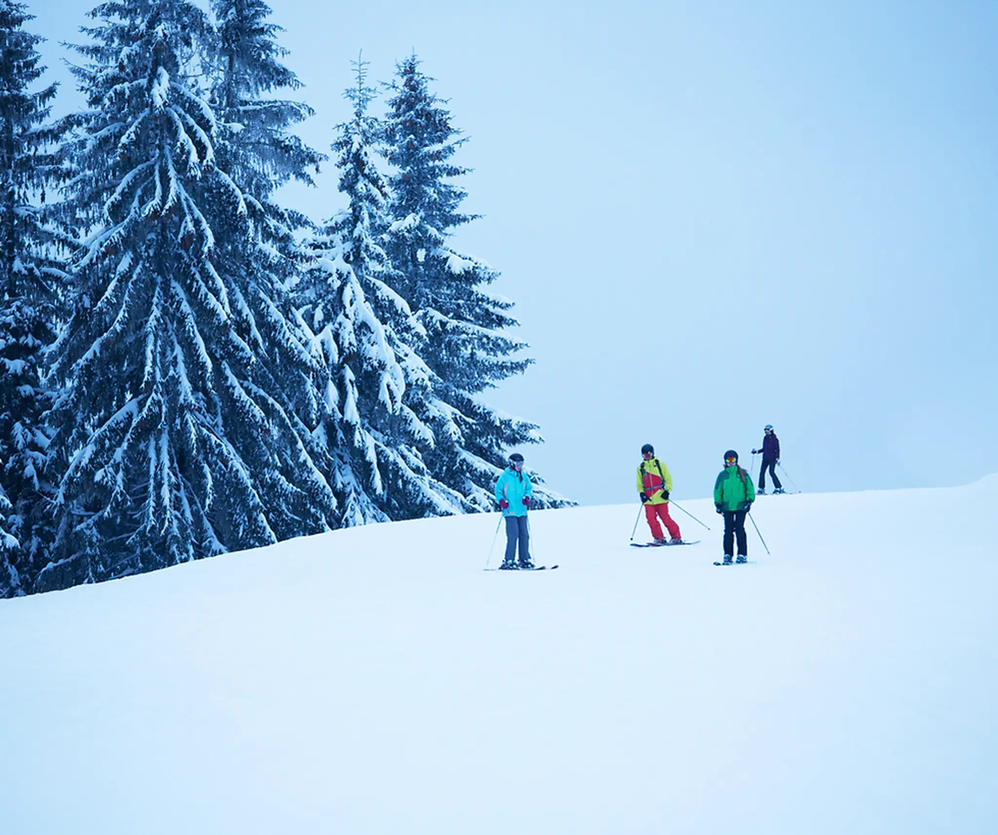 Misery Mountain Ski Area