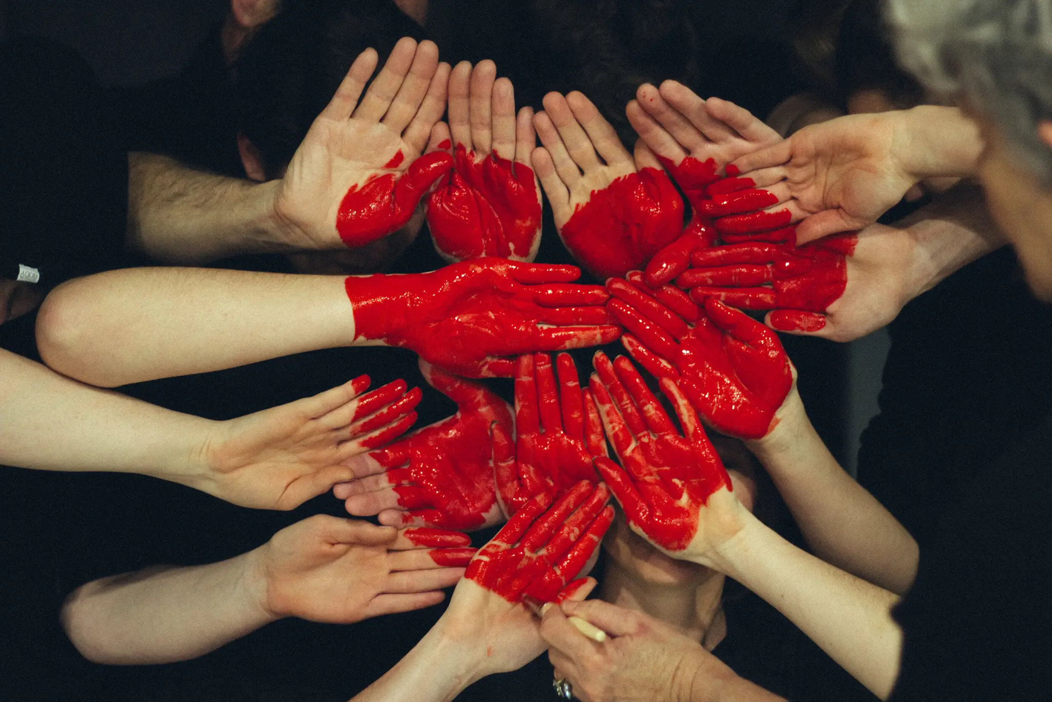 Vivid Psychology & Wellness