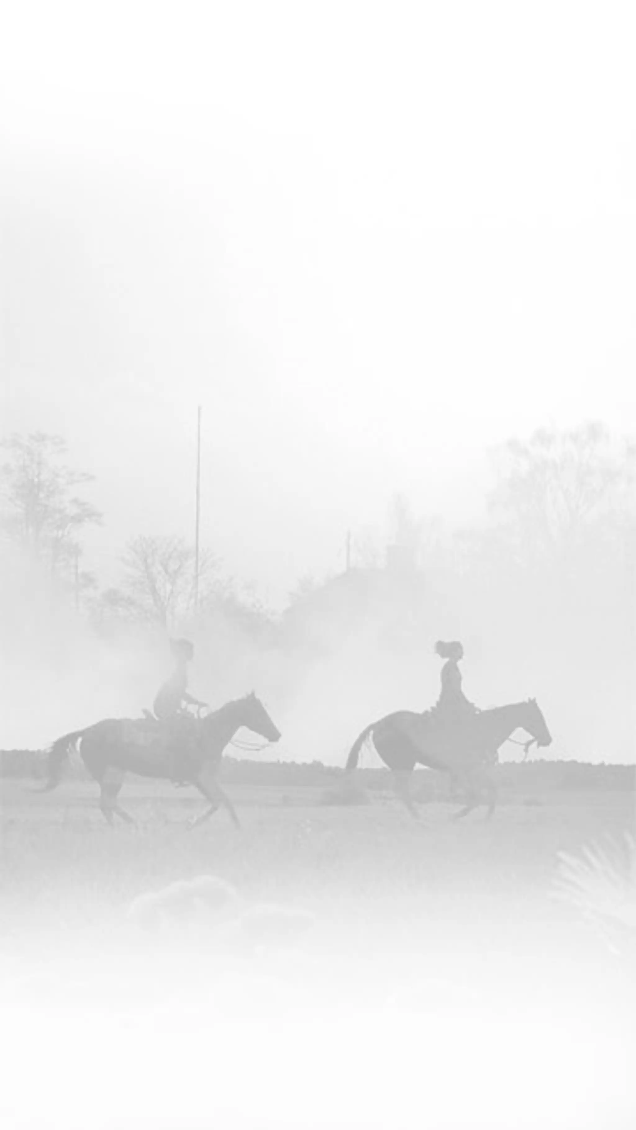 Vidourle à cheval