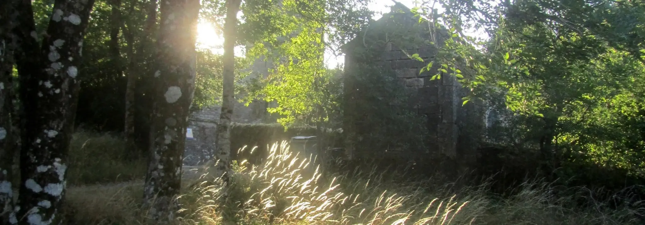 Temple Zen Du Caroux - Lignée Deshimaru