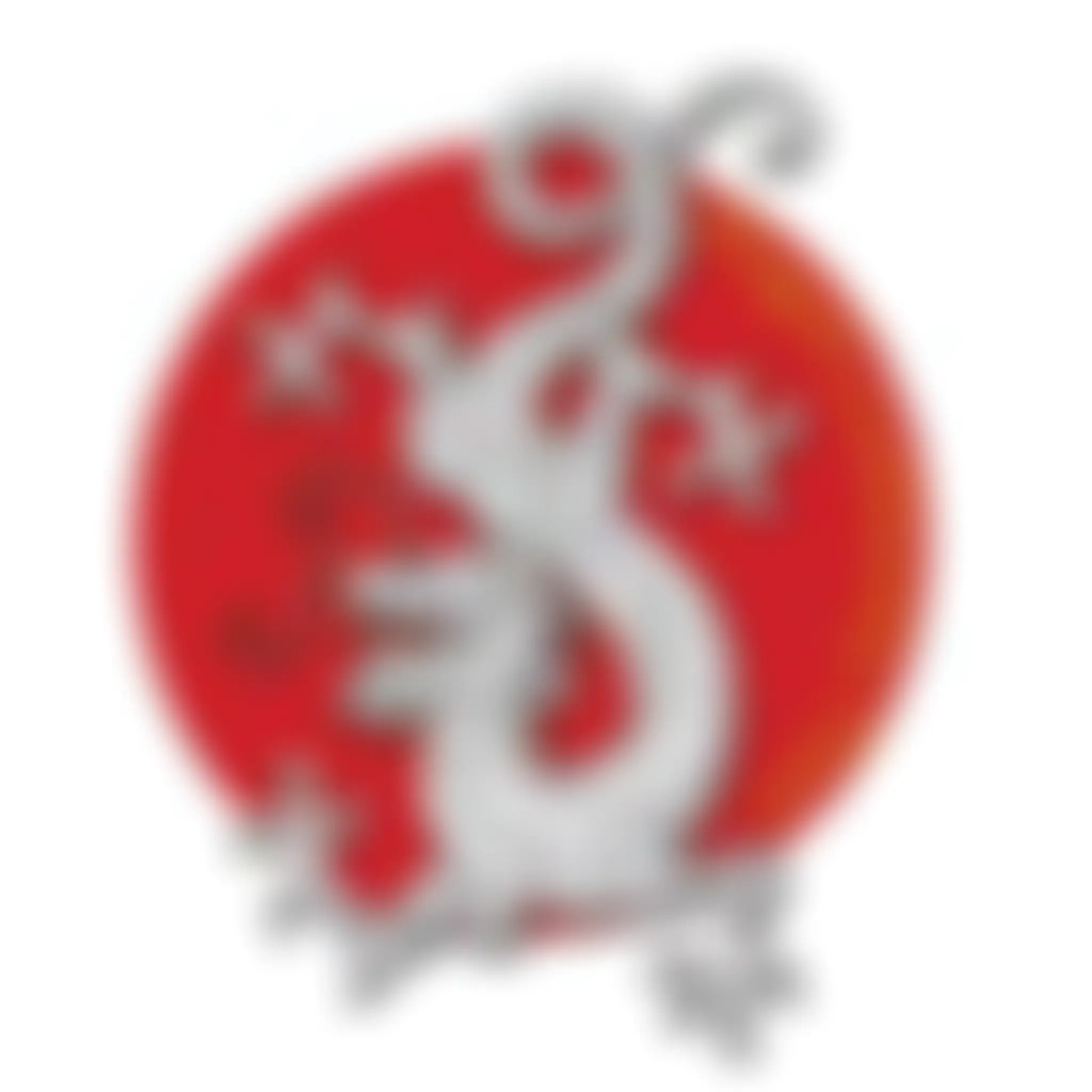 Muriwai Volunteer Lifeguard Service