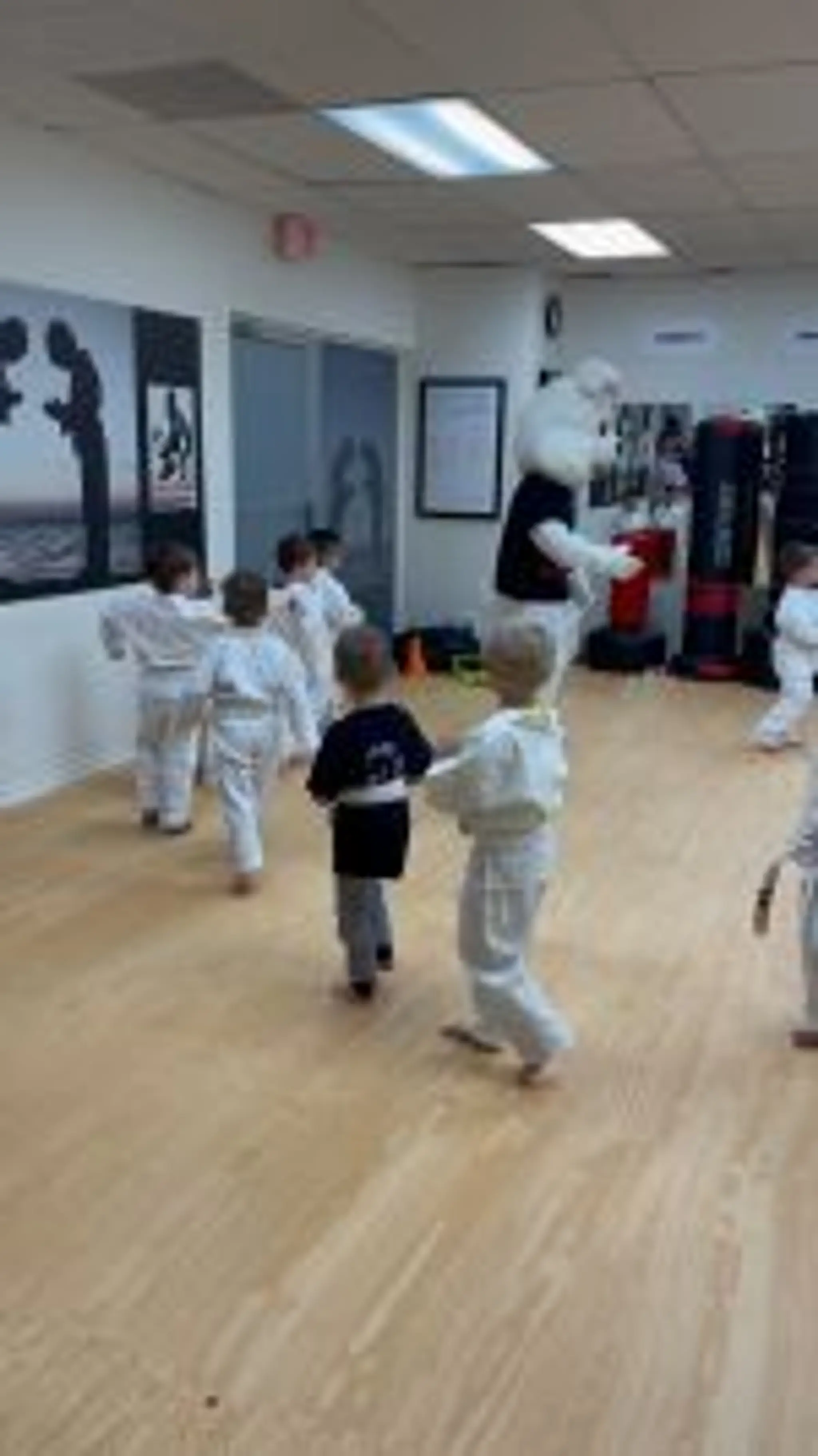 Johanis' Karate School Inc