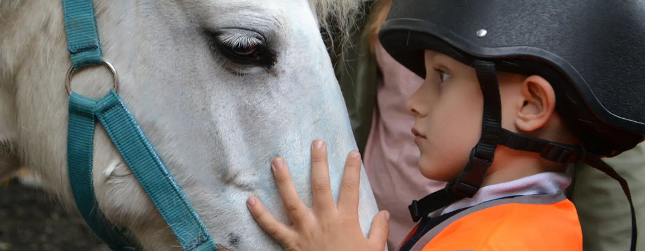 Ride High Equestrian Centre