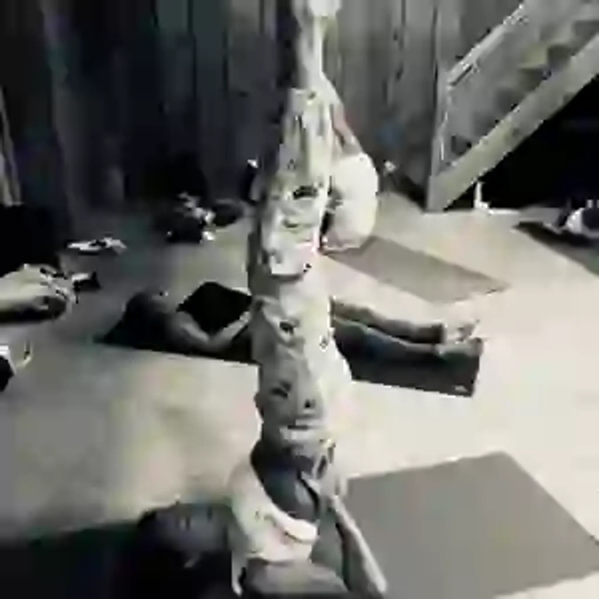 Armanda Dos Santos - Praticien En Ayurveda