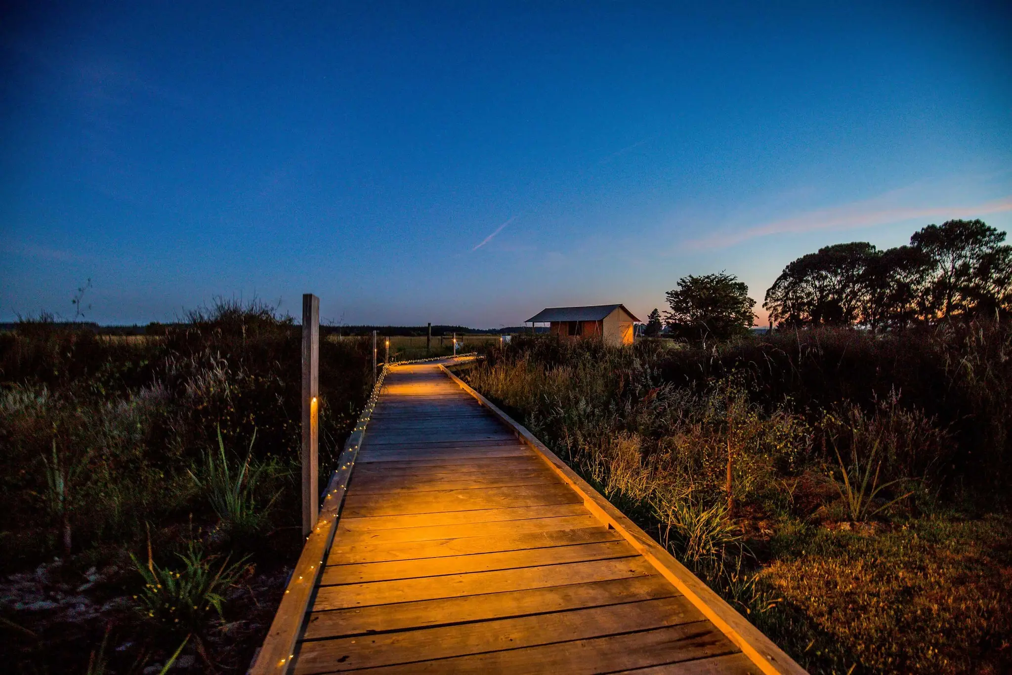 Appleby House & Rabbit Island Huts