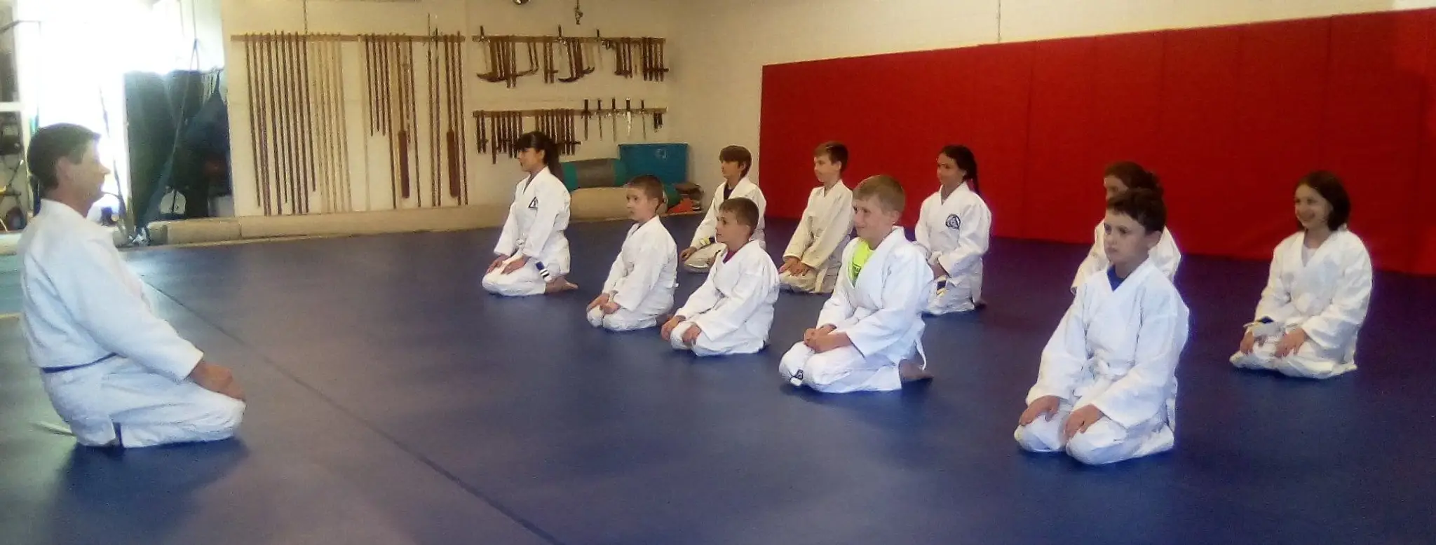 Sherbourne Martial Arts Academy: SMAA