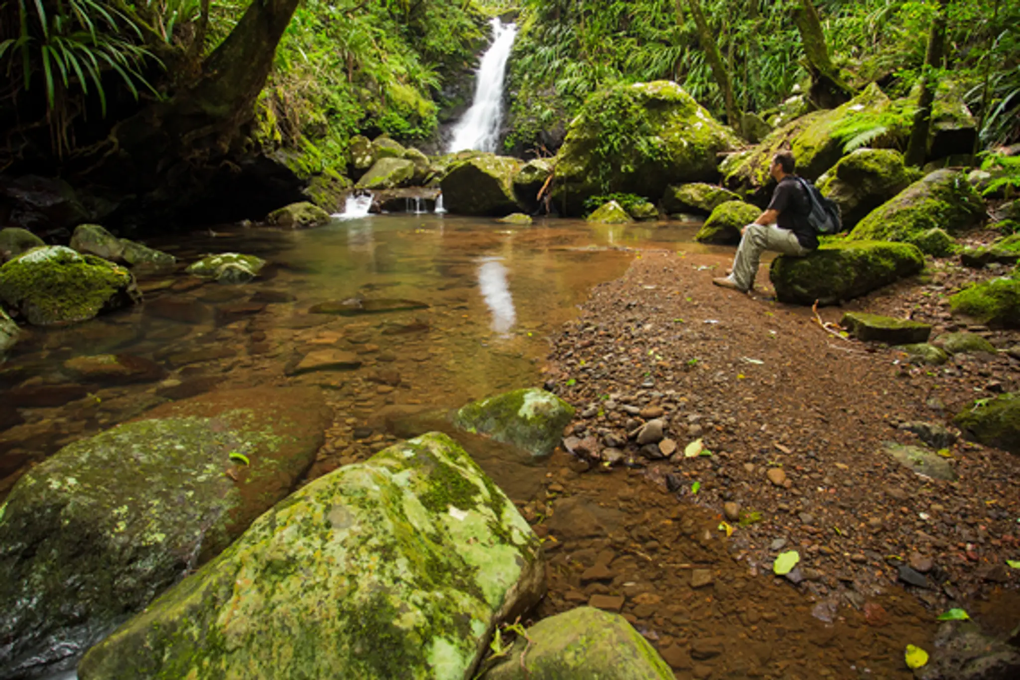 Lomandra Day Use Area