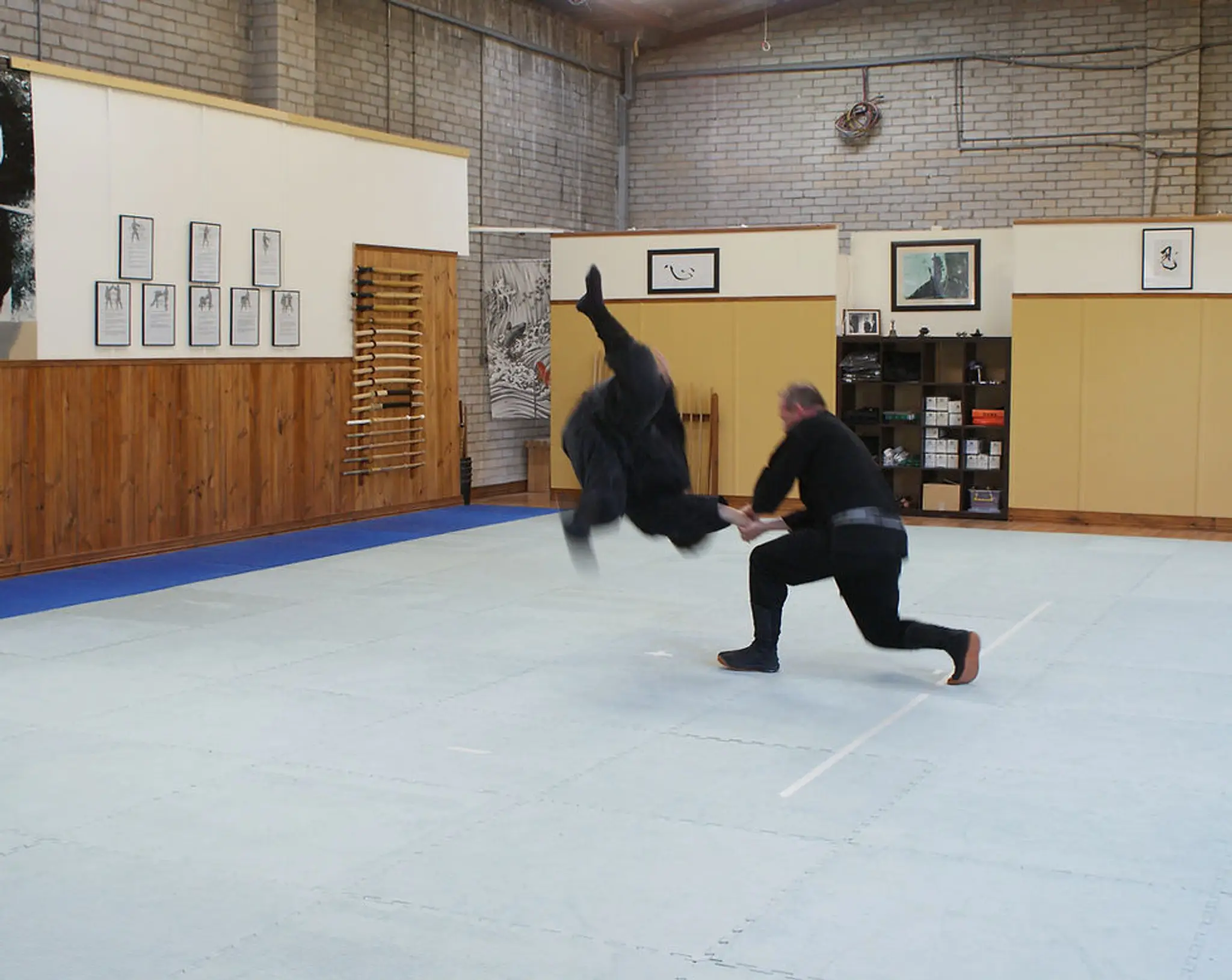 Tendo Bushi Ninjutsu