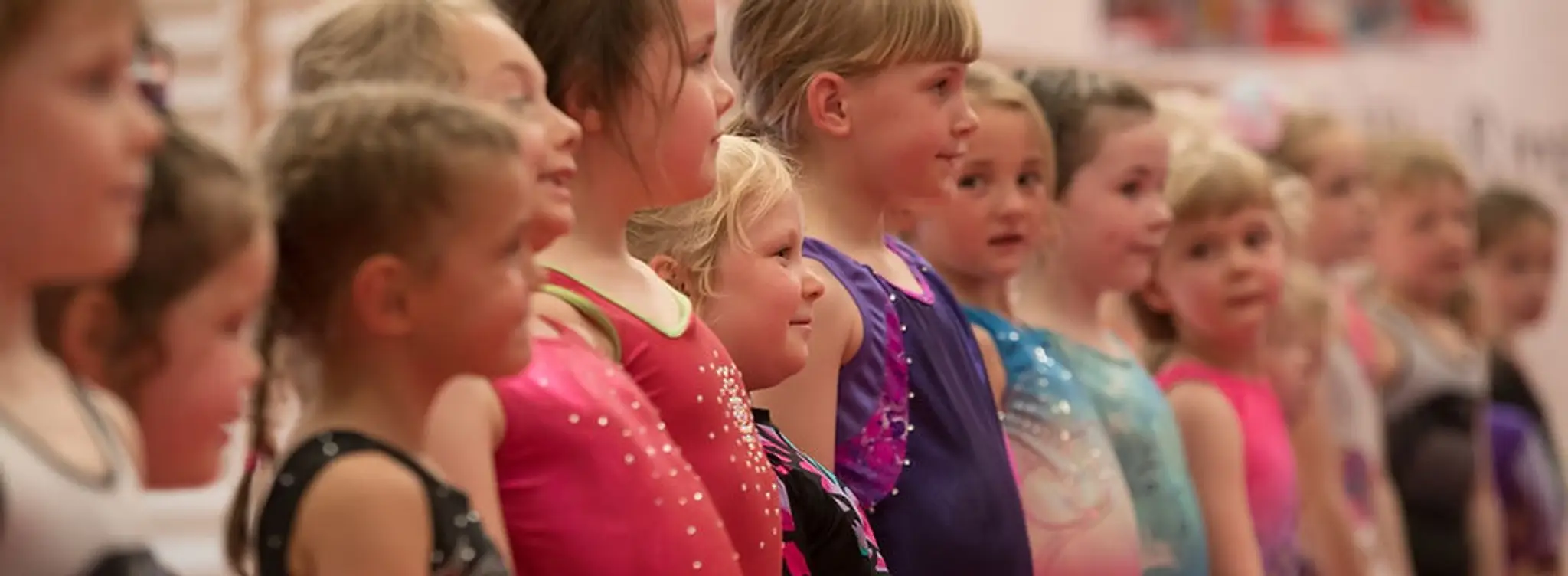 Valleys Gymnastic Academy