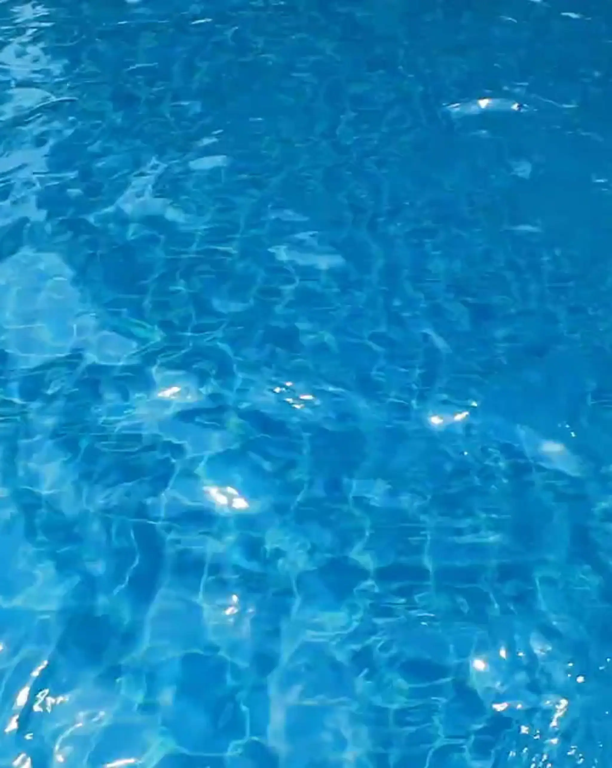 Swim with Style Franchise