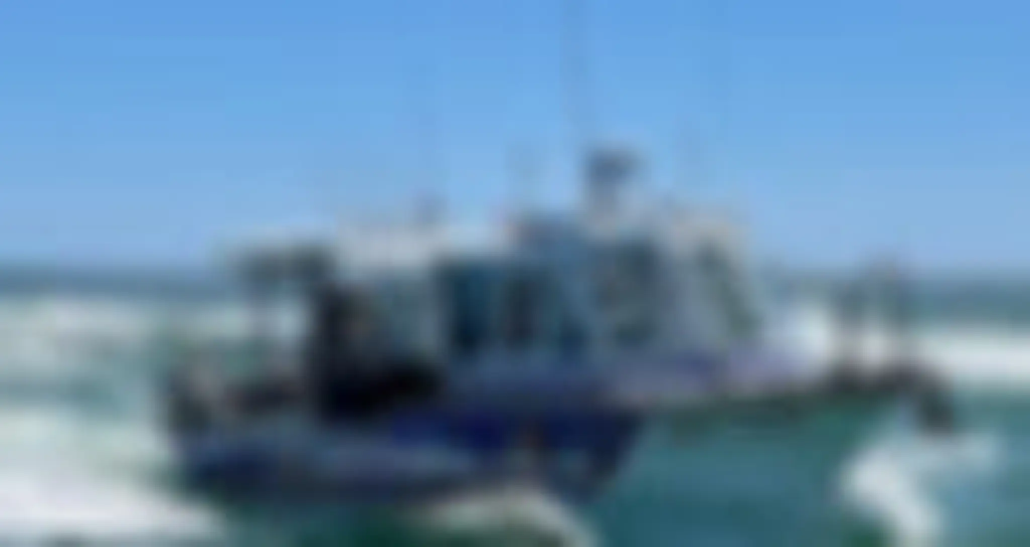 The Reel Thing Charters, A Melbourne fishing charter company