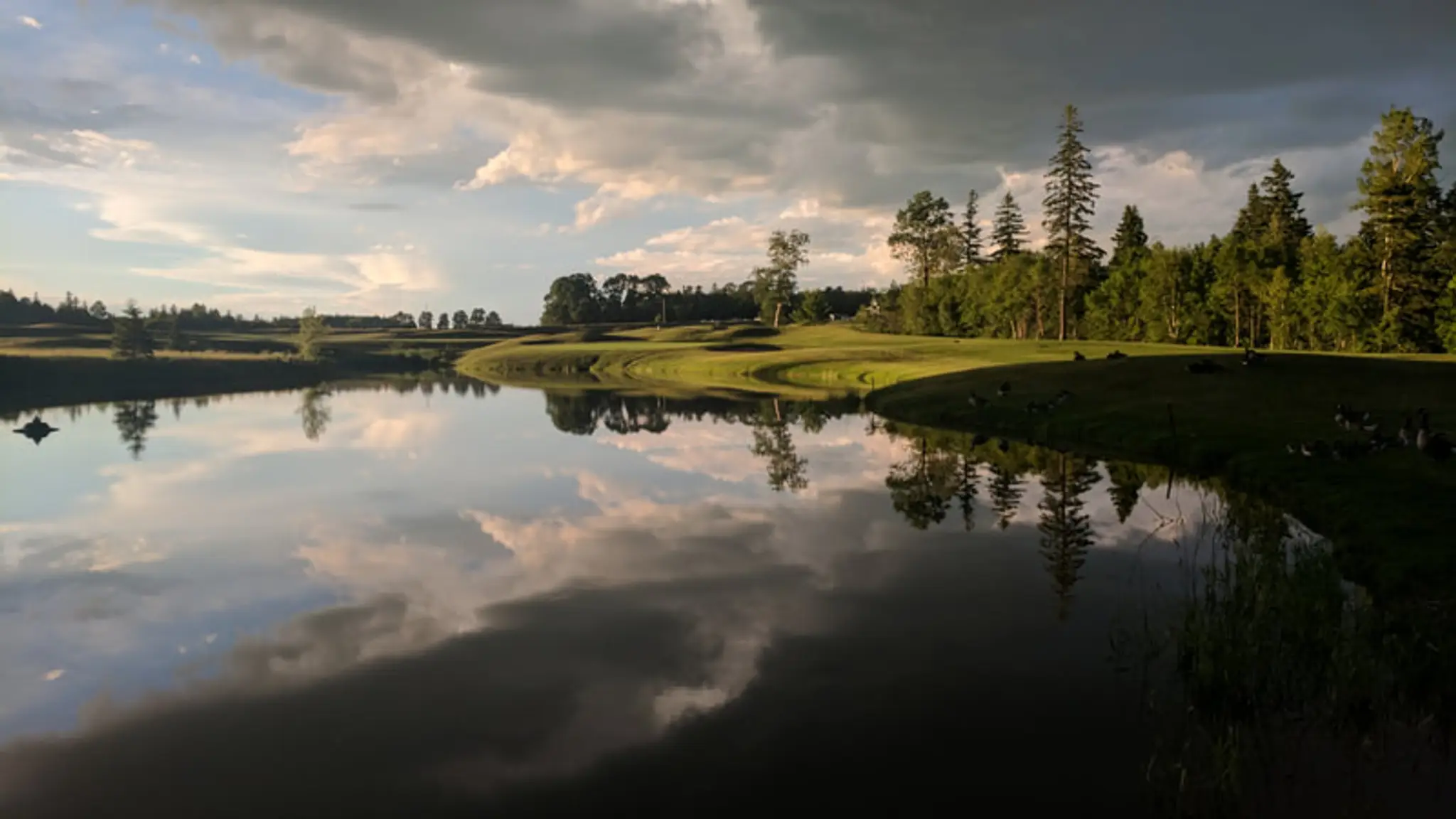 Avondale Golf Course