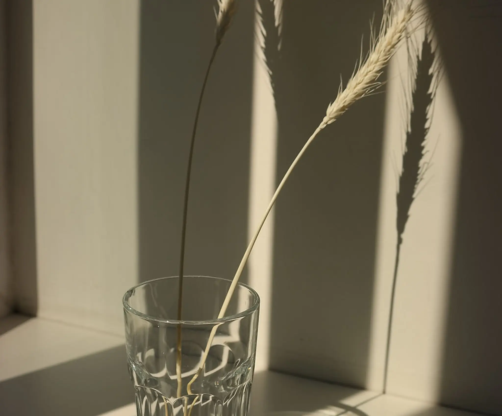 SoulWell Movement & Wellness