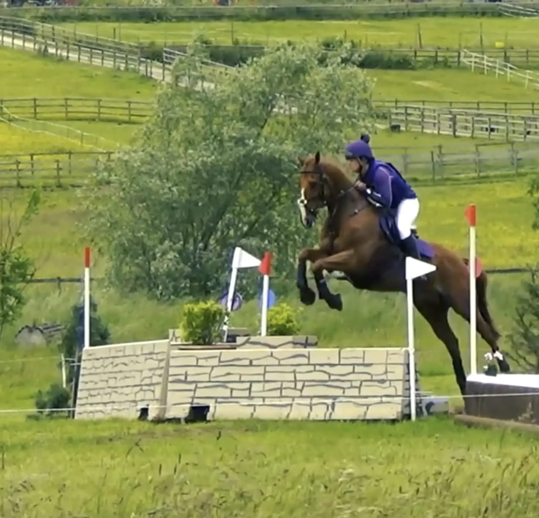 Oldmoor Farm Riding School