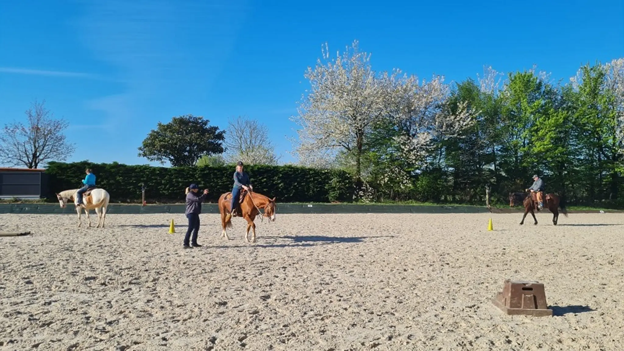 EASY HORSE