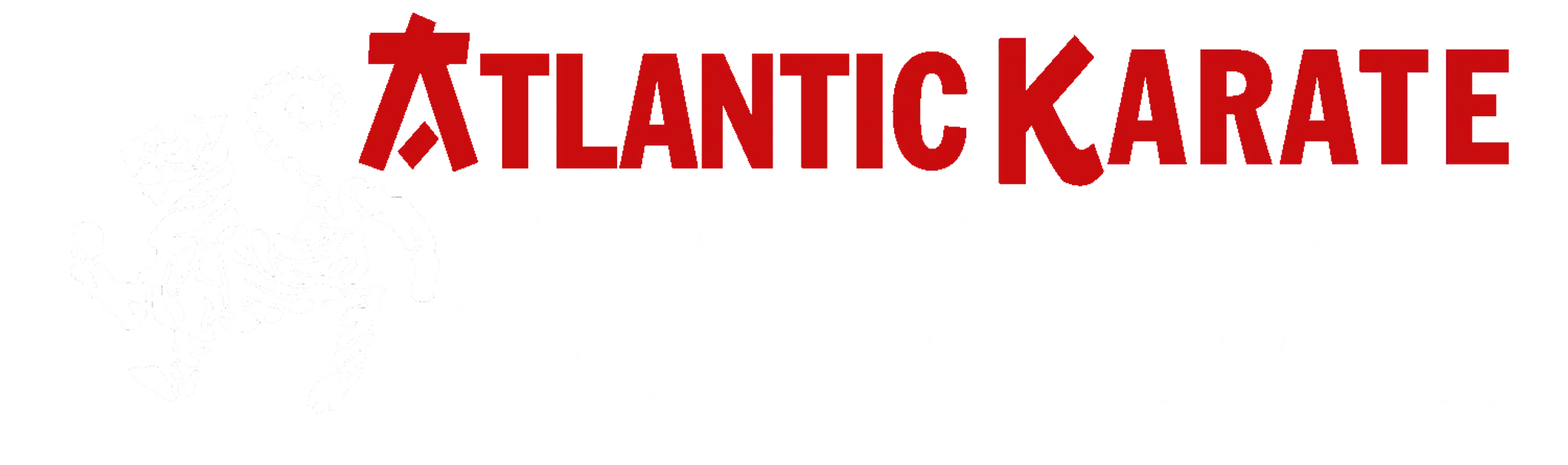 Atlantic Karate - Newquay