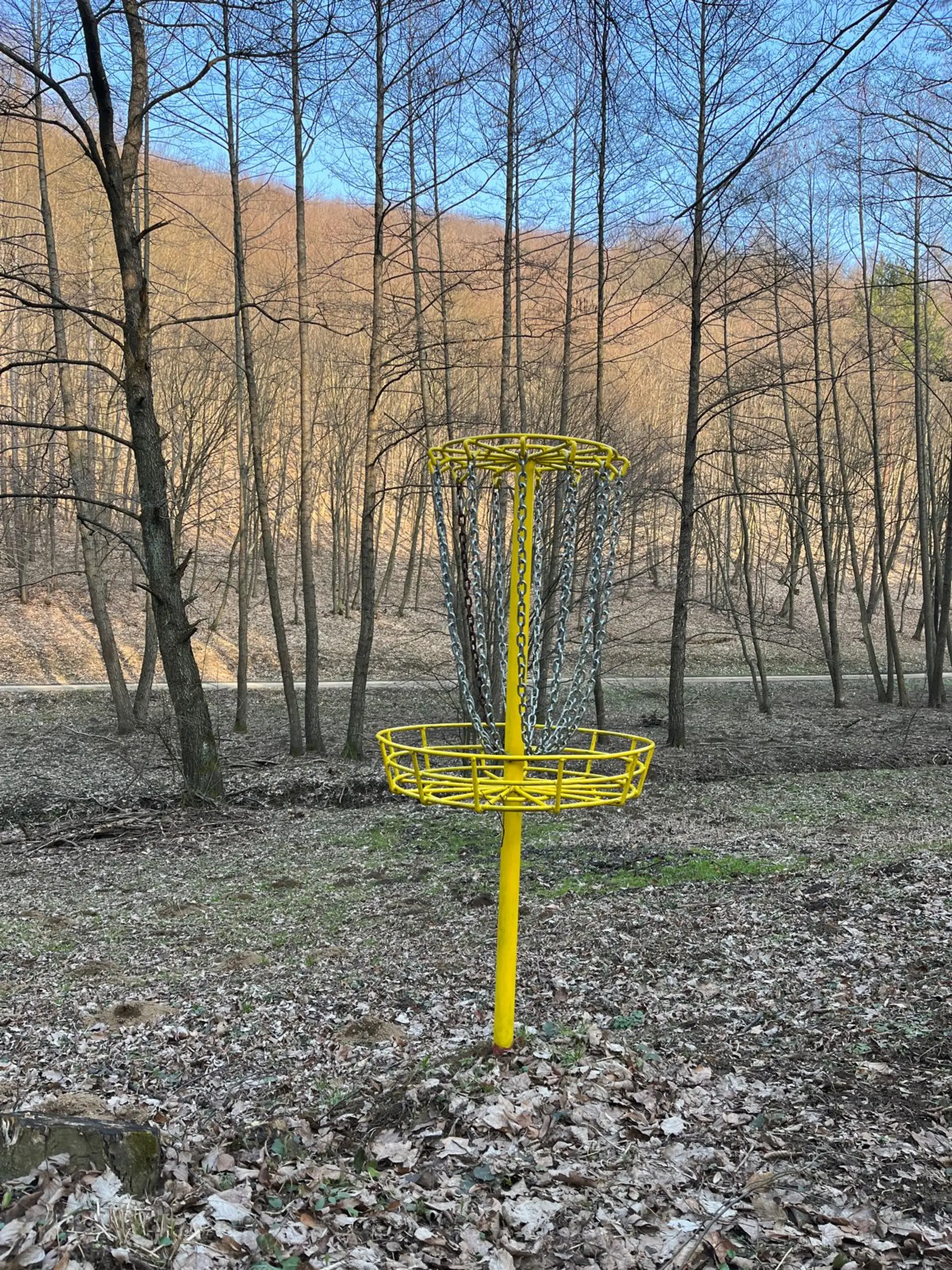 Disc Golf Lesopark Borkút