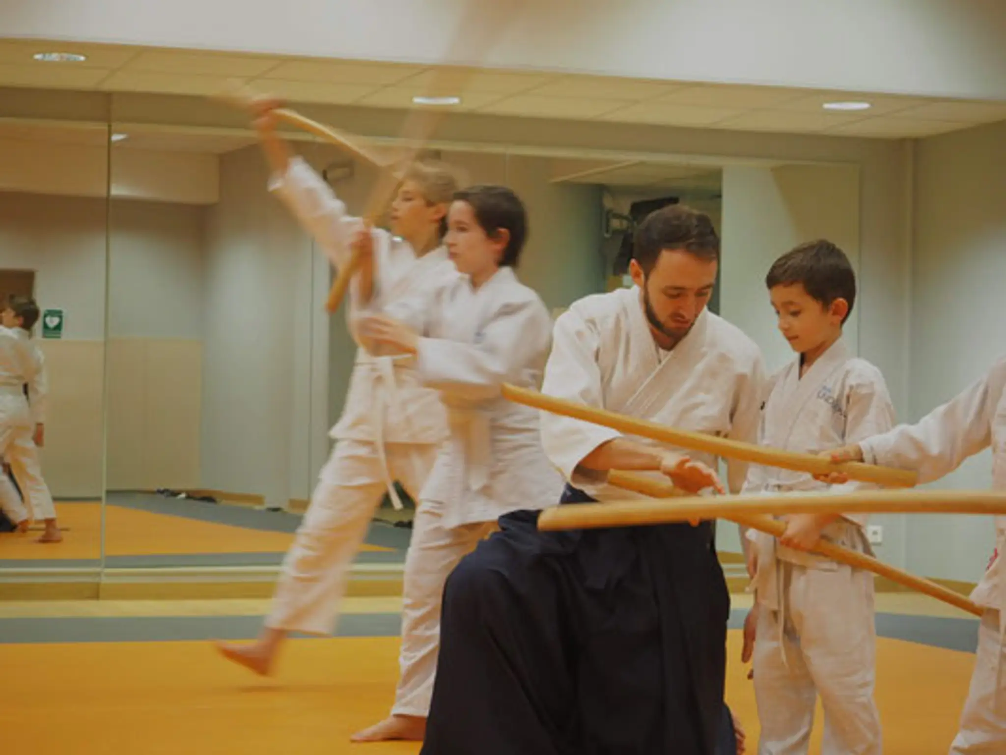 Academy Aikido De Lyon