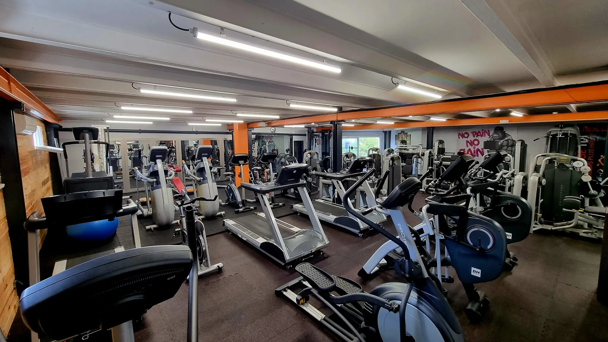 Tonic fitness area