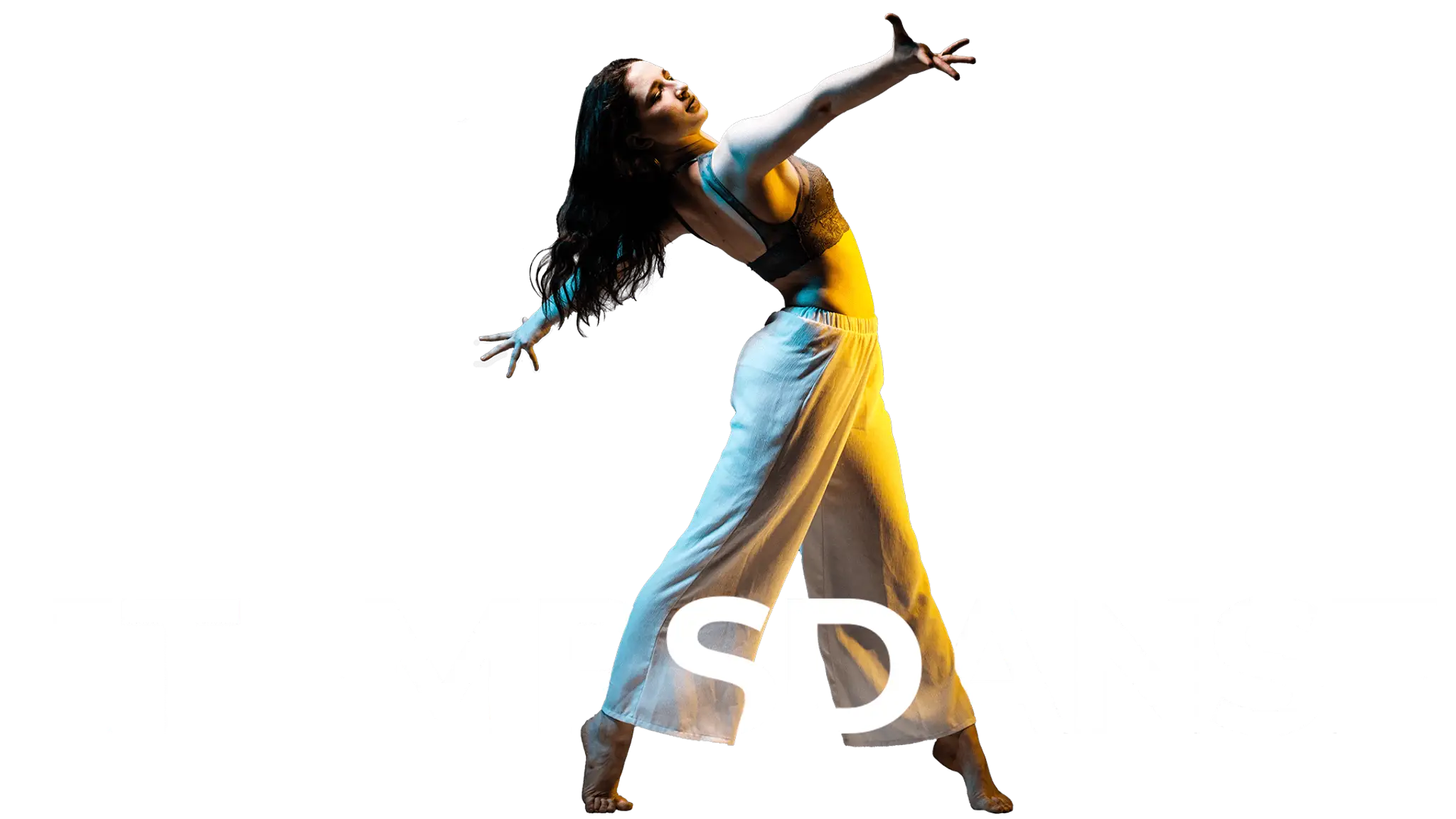 1TempsDanse