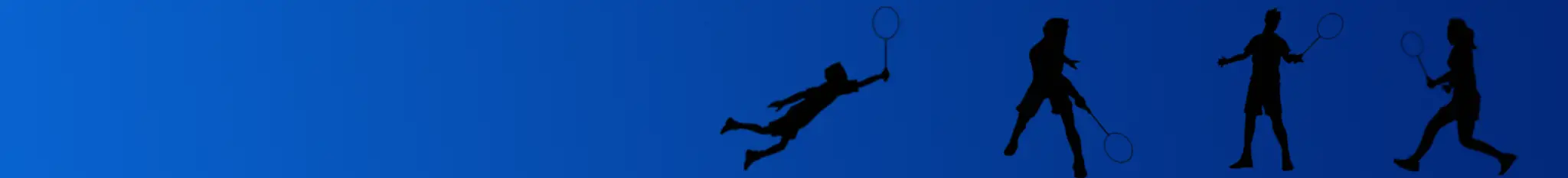 Rush Badminton Fontaine Les Dijon