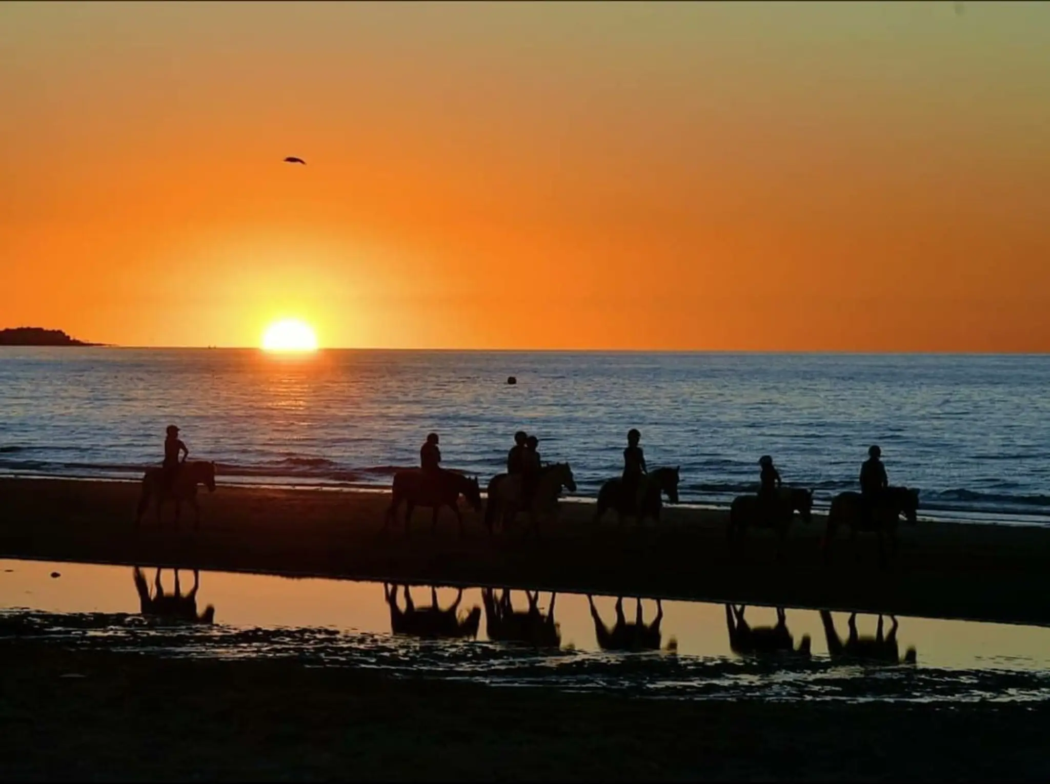 Etrier De La Plage