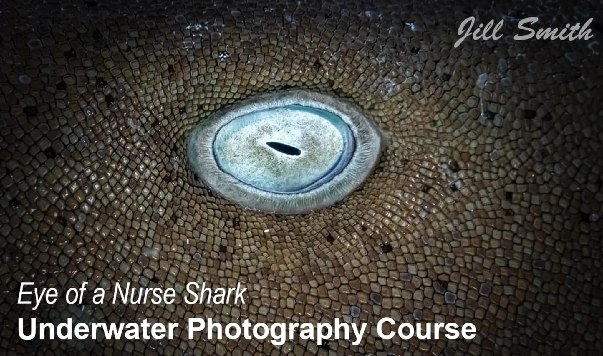 Adventure Sports Newmarket Inc.