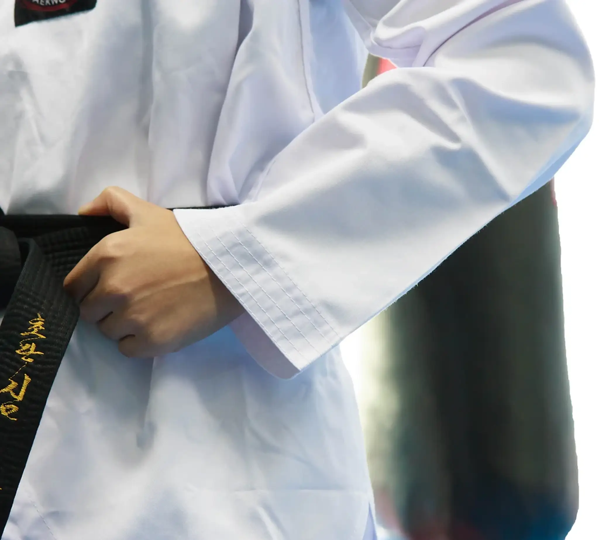 Canada Elite Spirit TKD Club-Scarborough