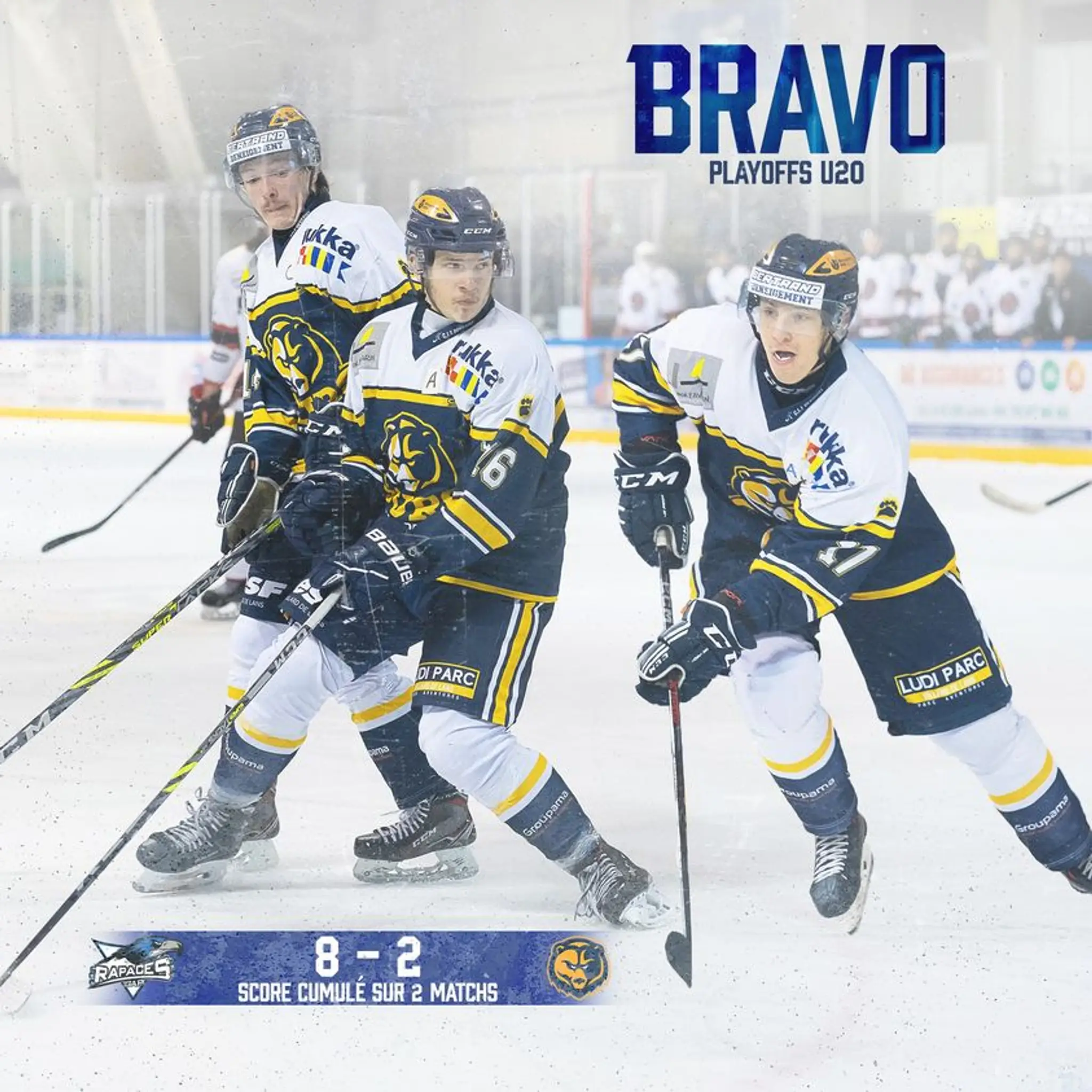 Bears Villard de Lans