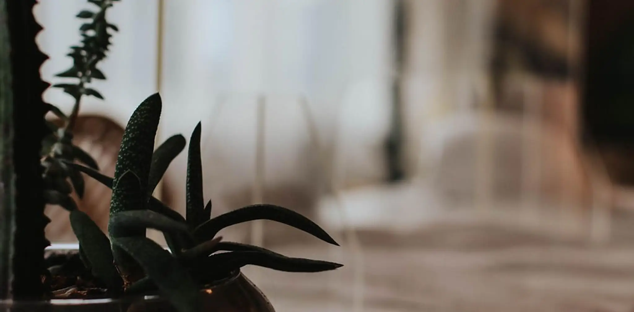 Urban Collective Wellness Lounge