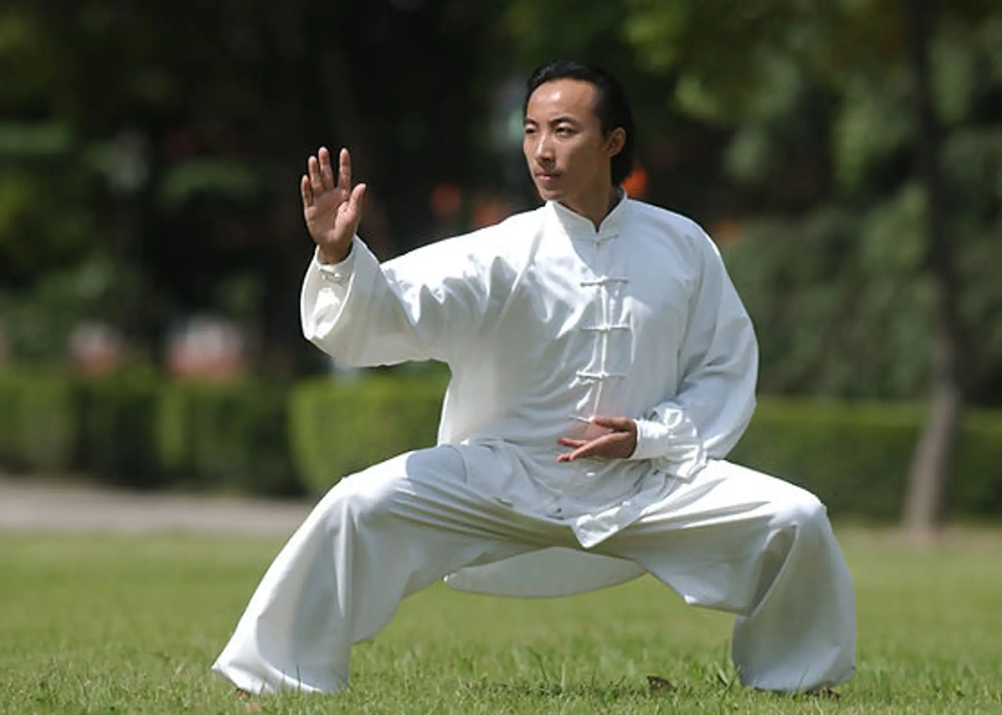 TK Martial Arts Academy