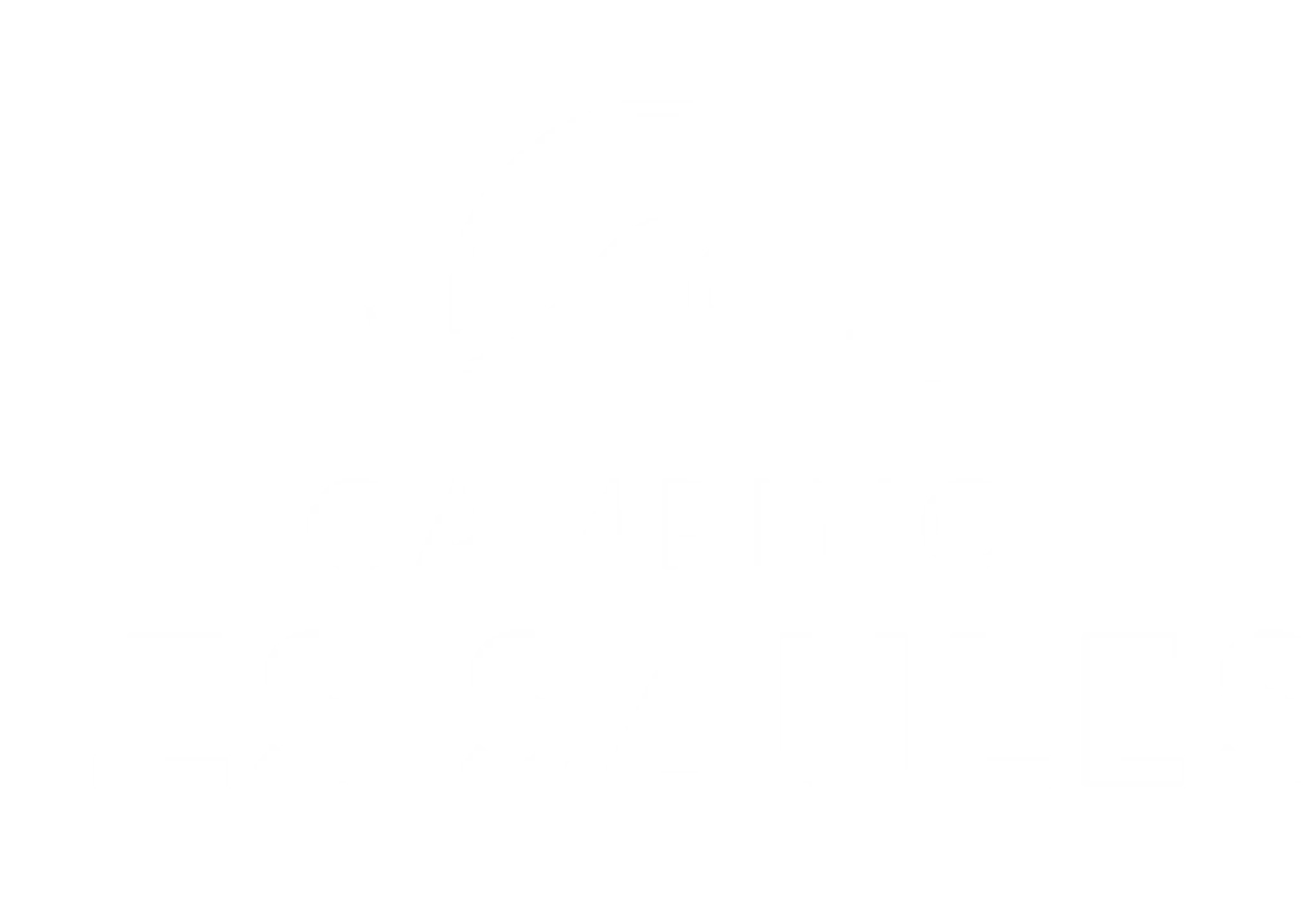 Camping Les Saules